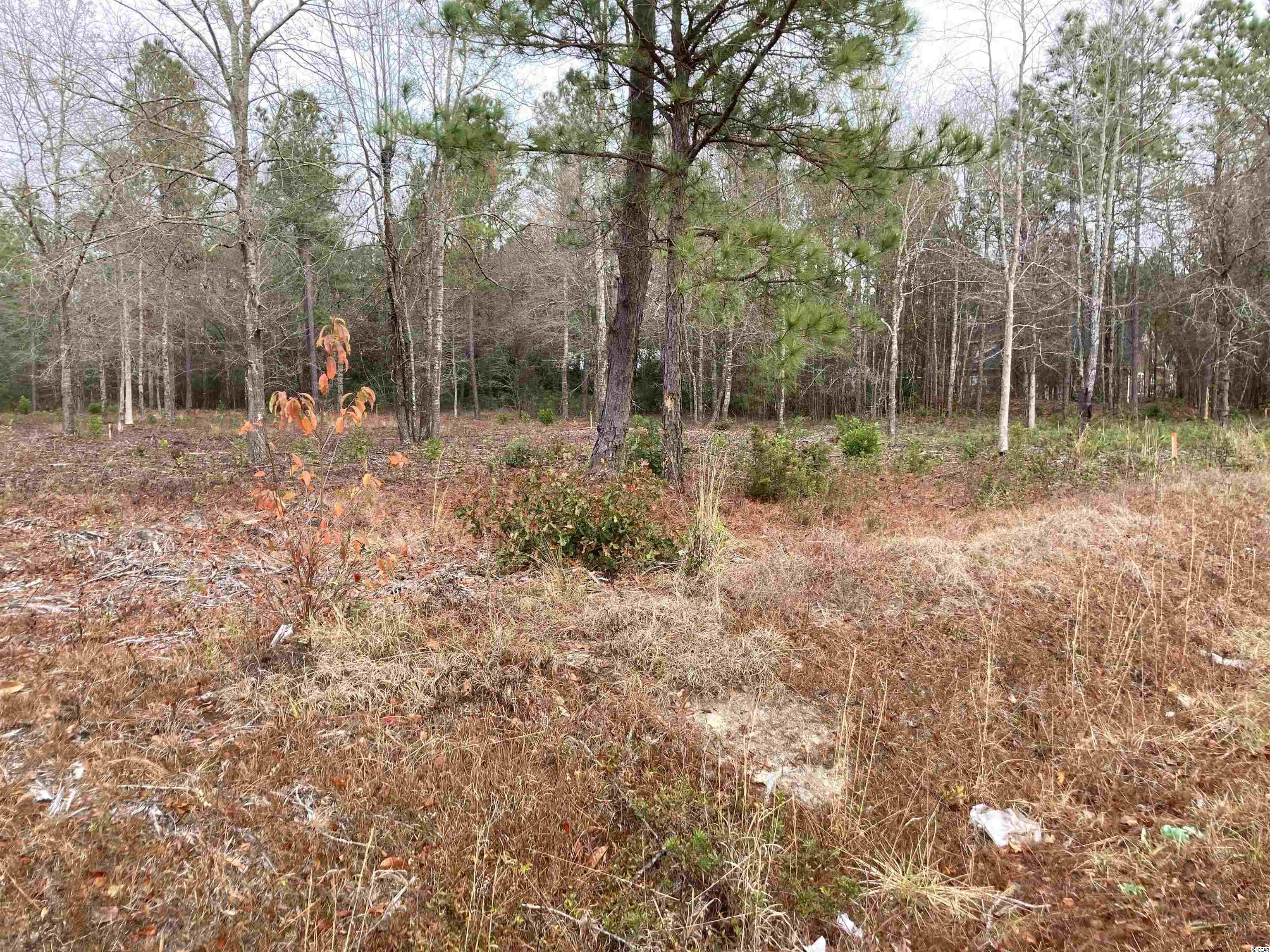 Lot A2 Alford Rd. Conway, SC 29526