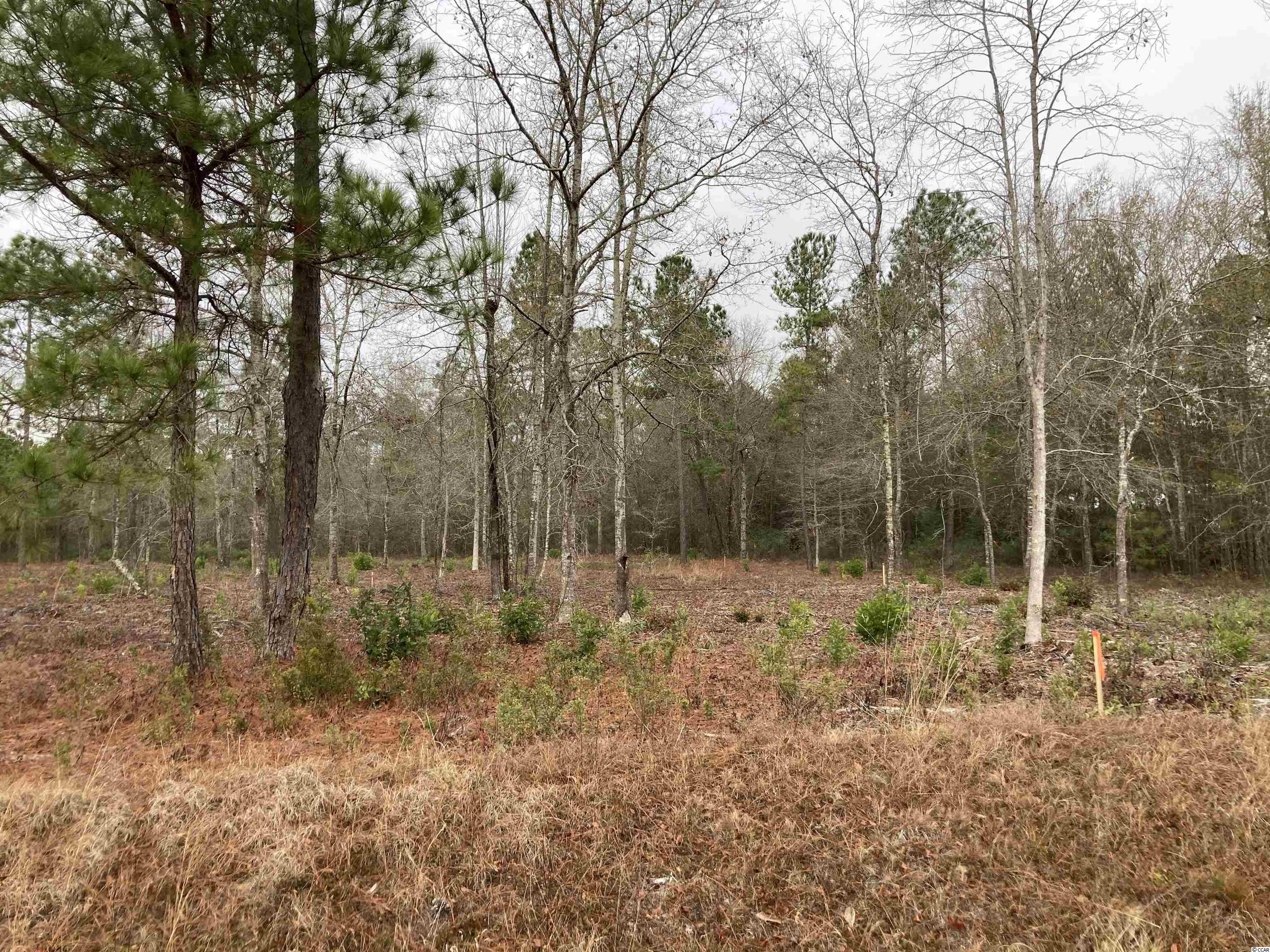 Lot A3 Alford Rd. Conway, SC 29526