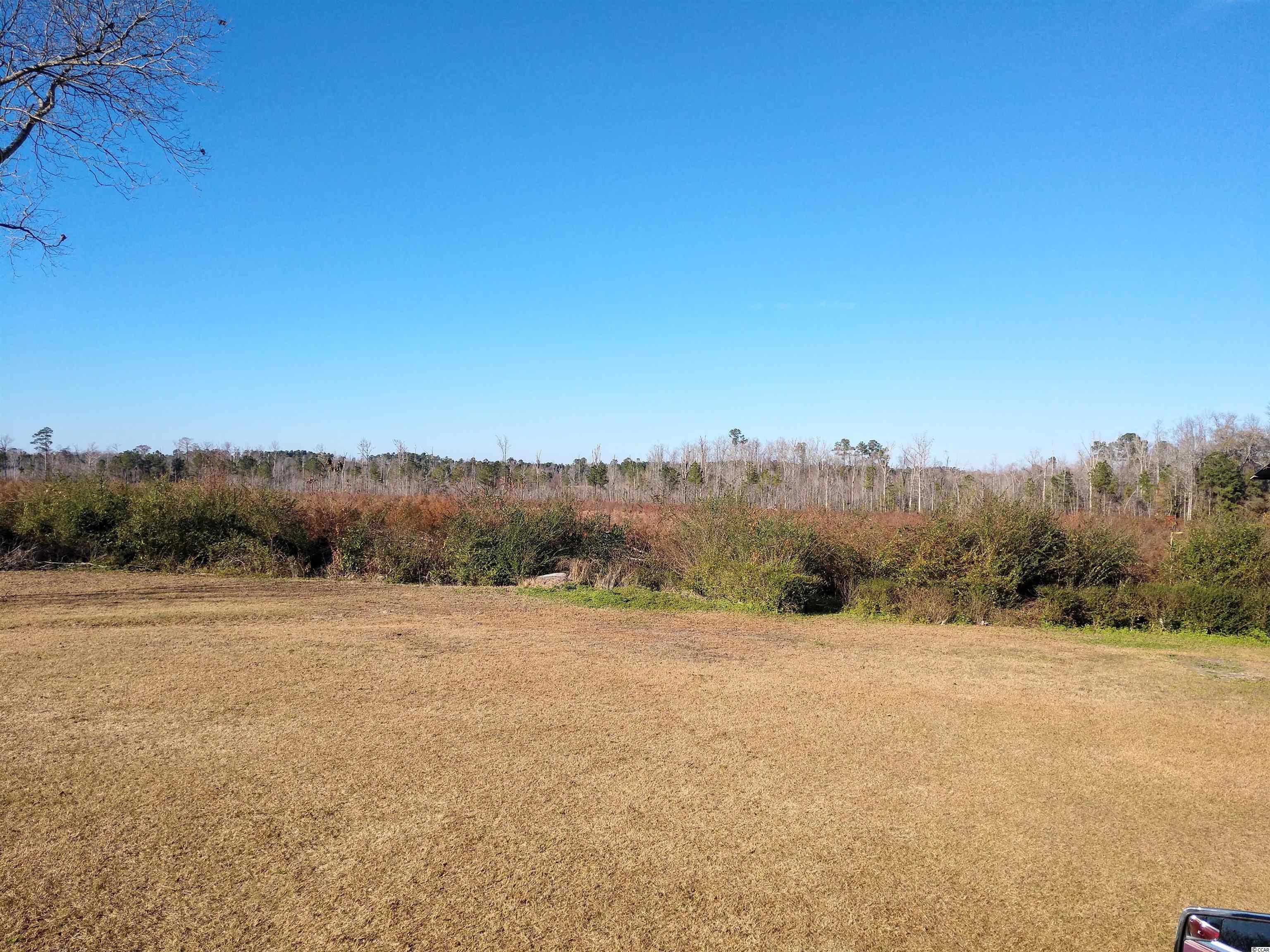 TBD Joyner Swamp Rd. Galivants Ferry, SC 29544