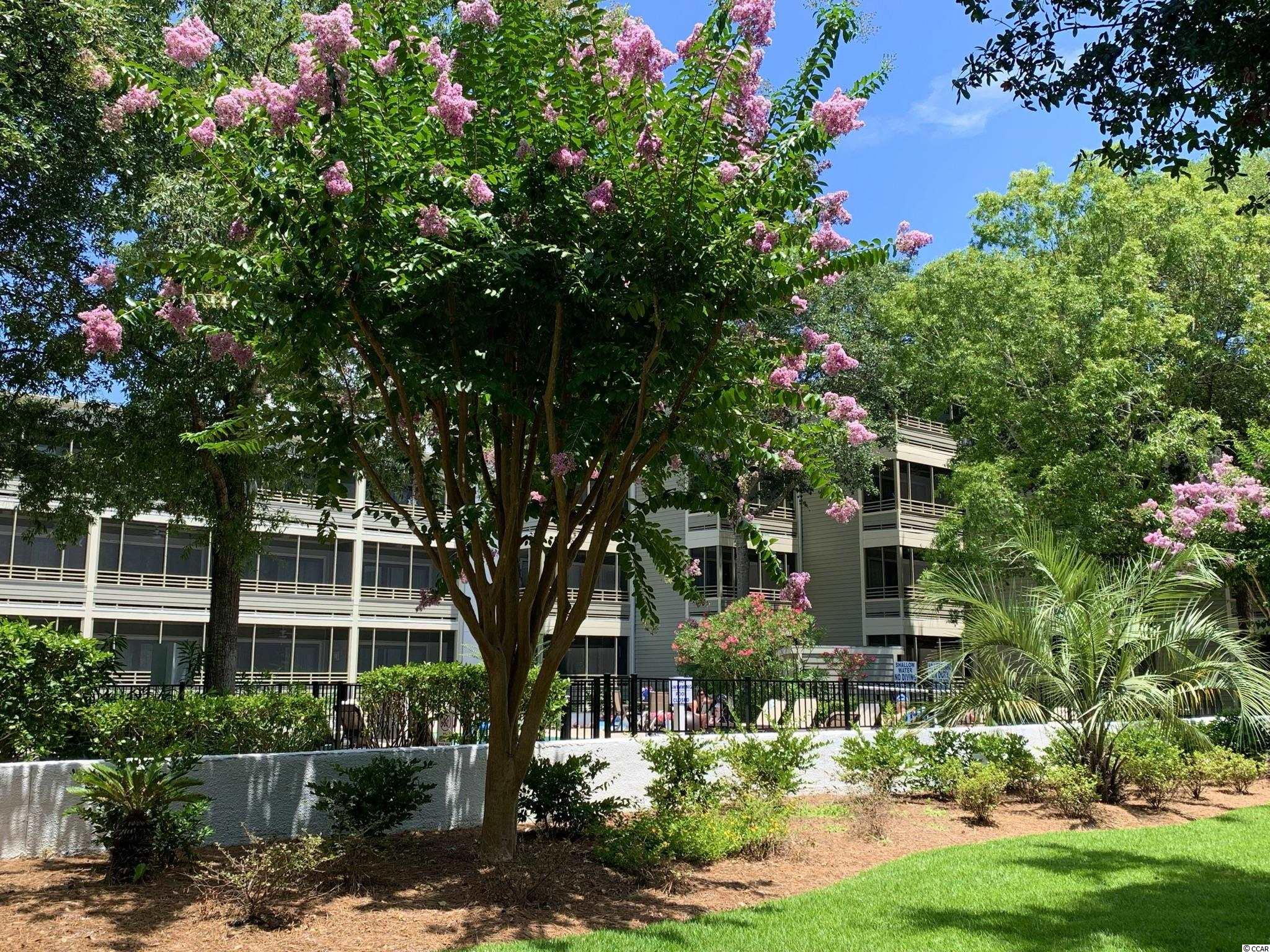 415 Ocean Creek Dr. UNIT #2215 Myrtle Beach, SC 29572