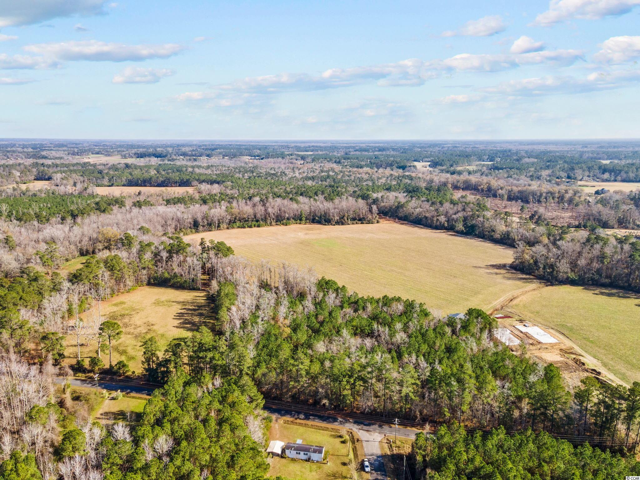82.08 acre Boggy Rd. Conway, SC 29526