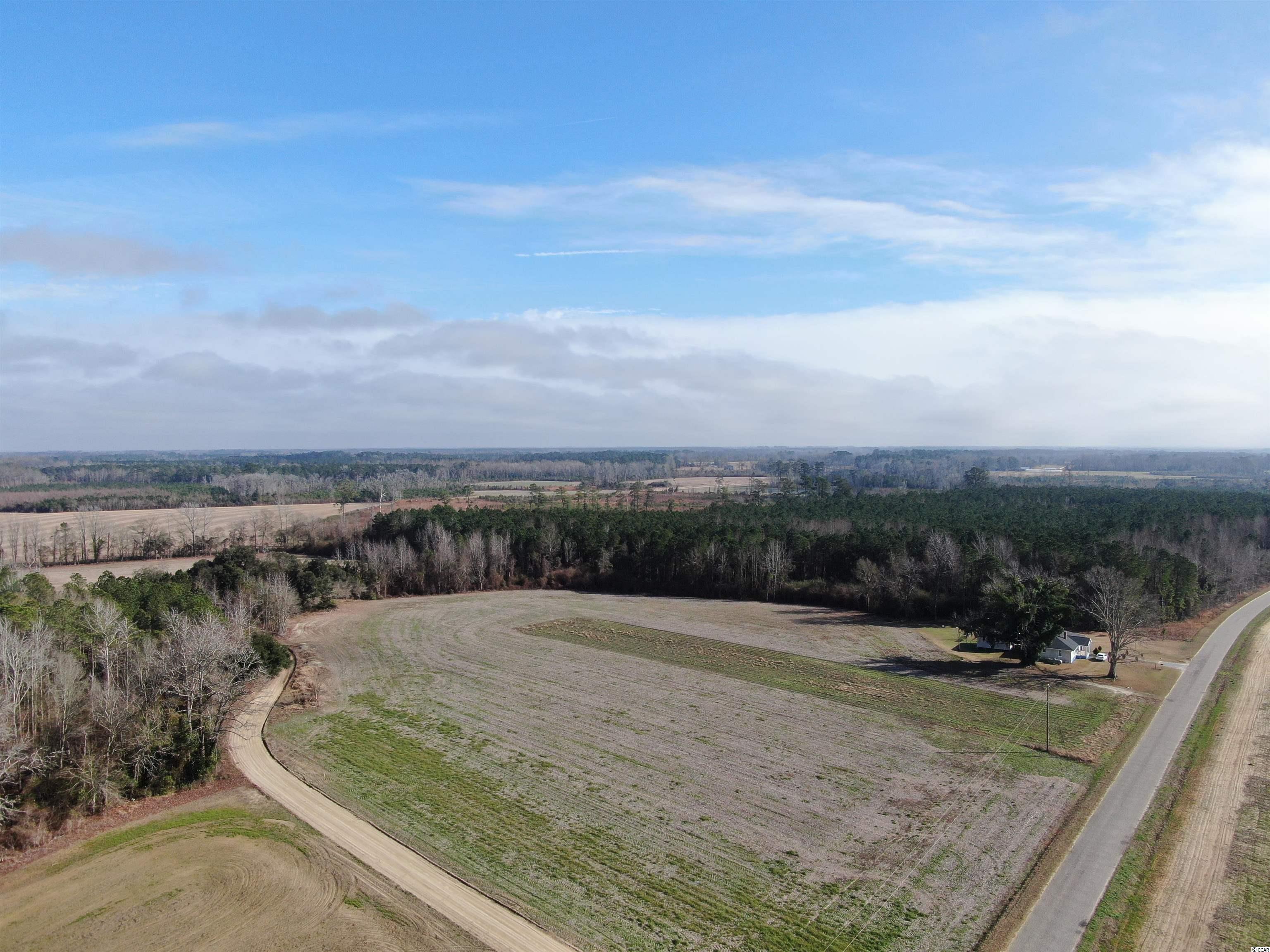TBD Oliver Rd. Dillon, SC 29536