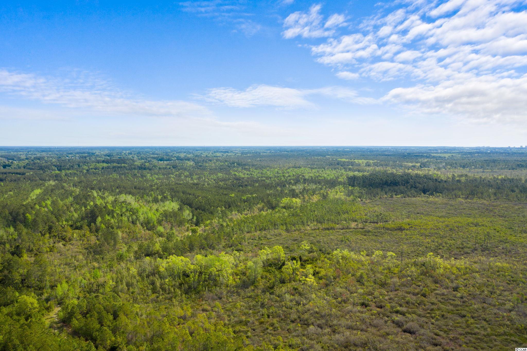 TBD Water Tower Rd. Longs, SC 29568