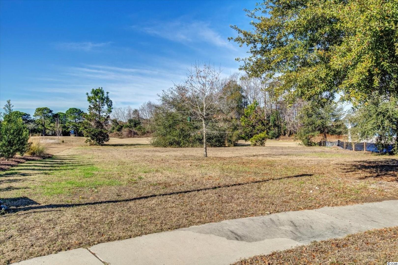 1004 Whooping Crane Dr. Conway, SC 29526