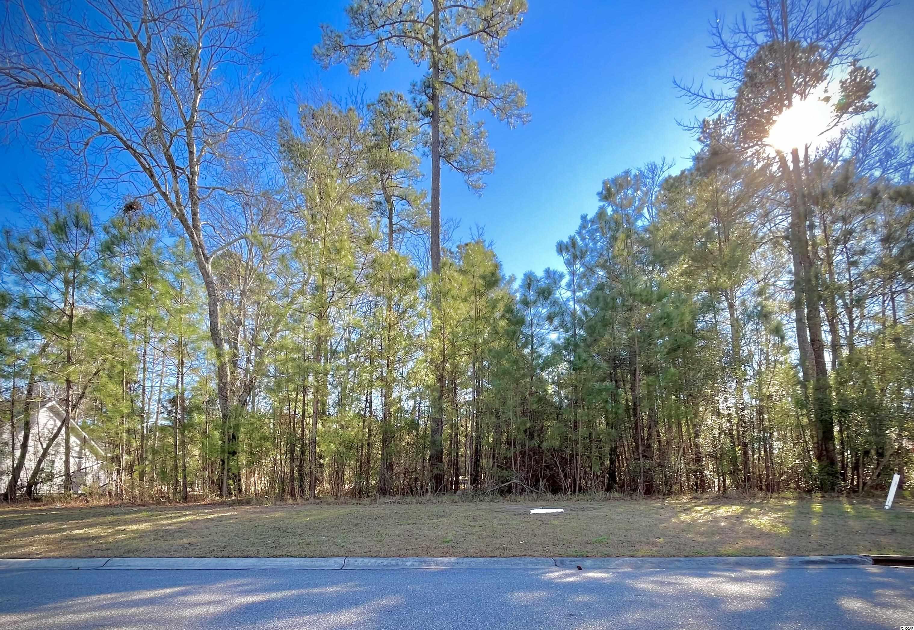 634 Timber Creek Dr. Loris, SC 29569