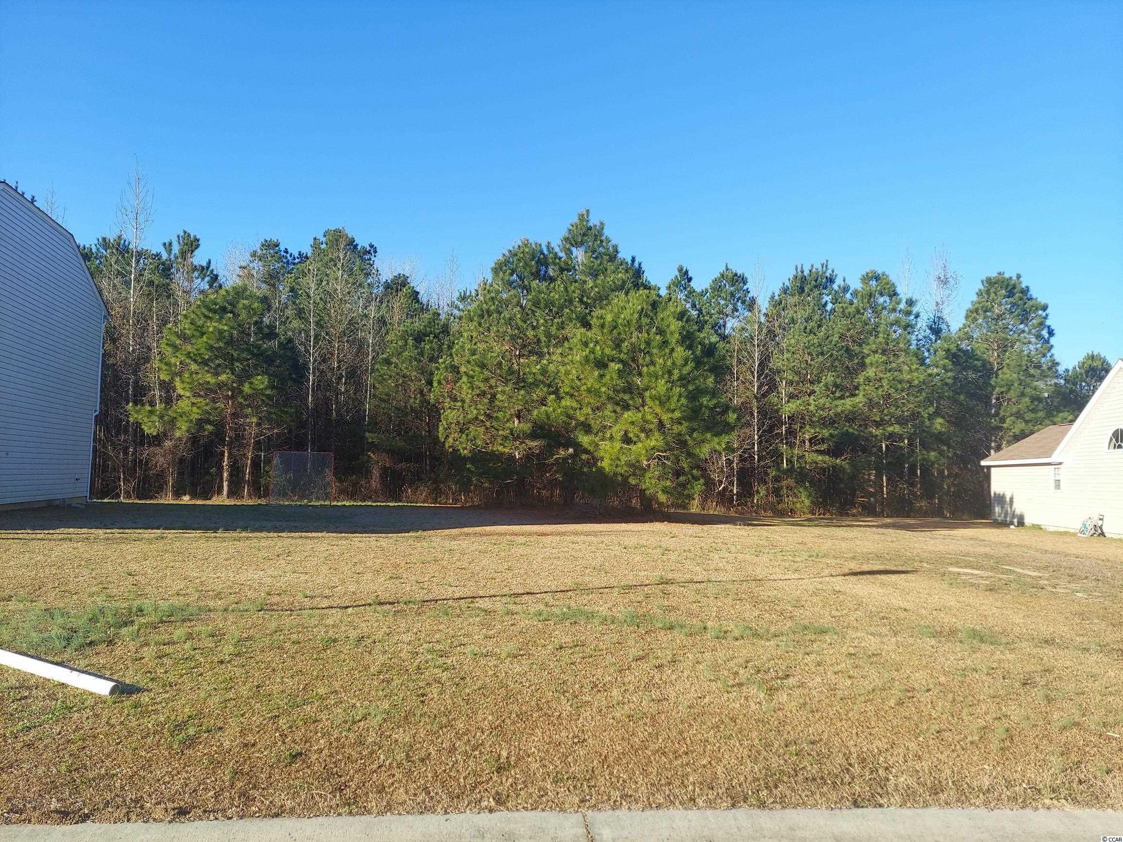 628 Trap Shooter Circle Longs, SC 29568