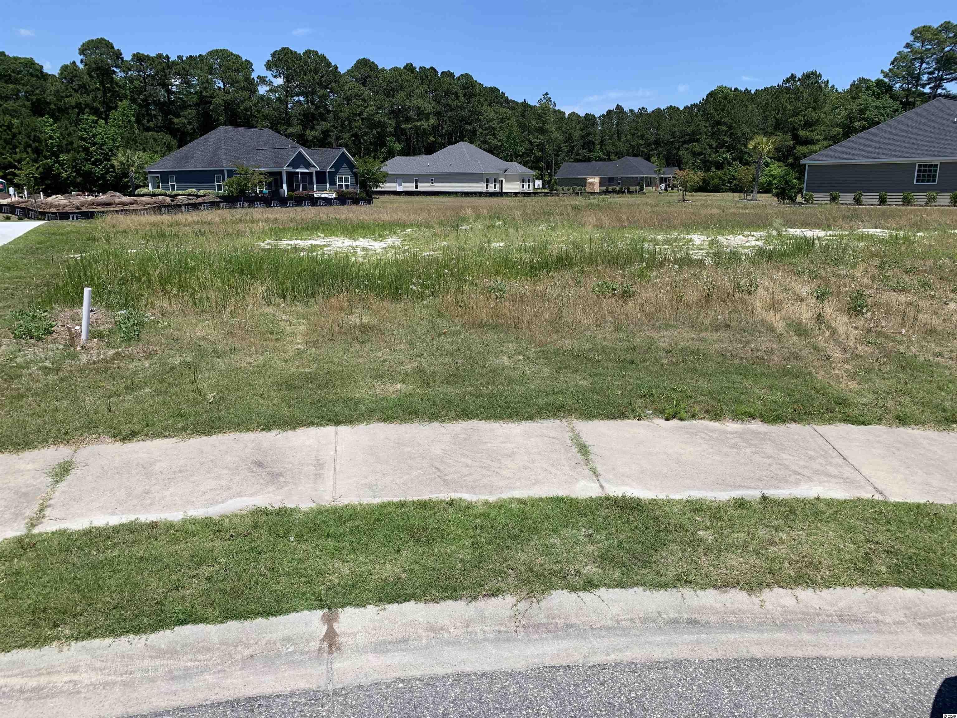 1009 Noddy Ct. Conway, SC 29526