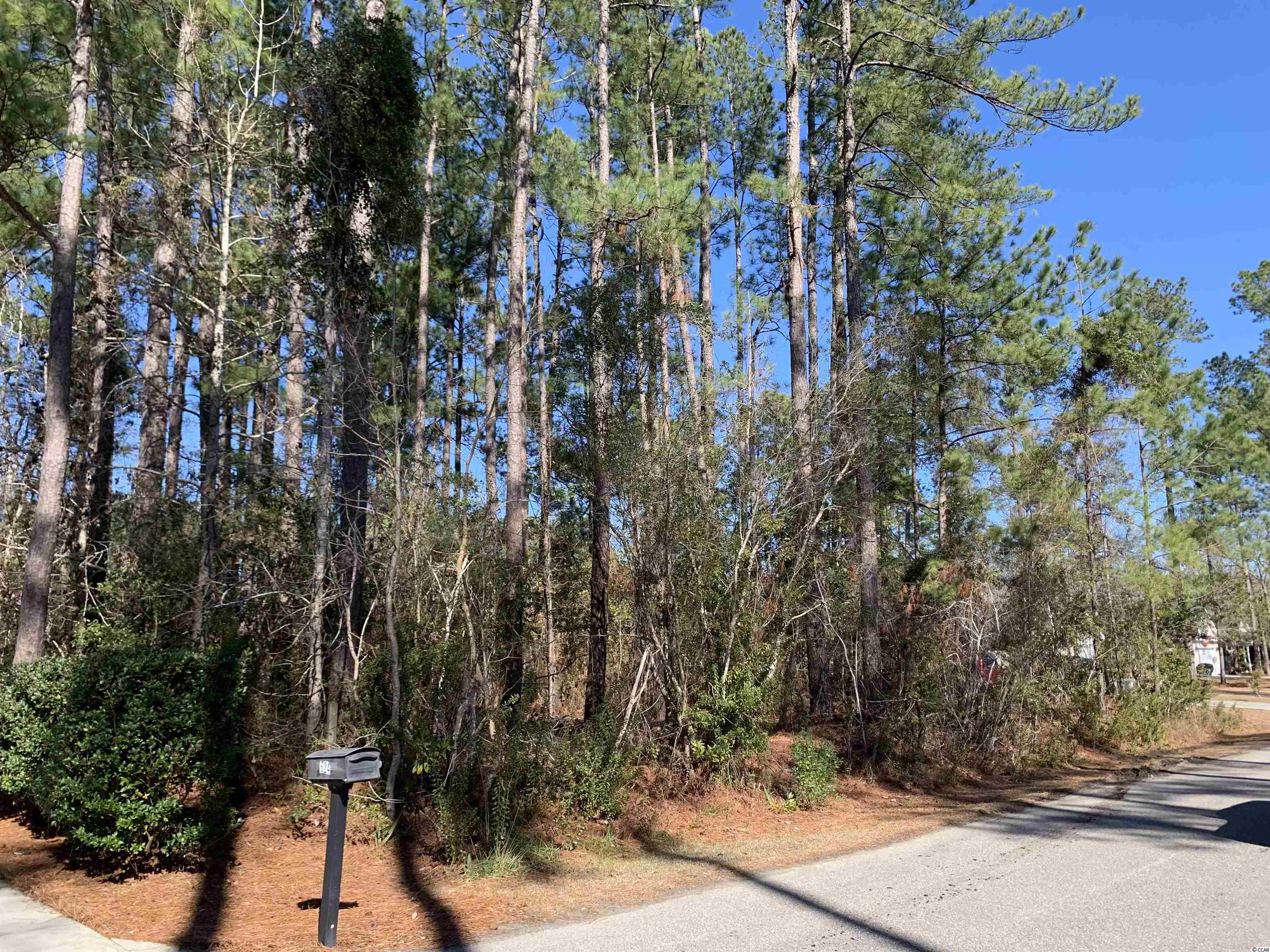 TBD Francis Parker Rd. Georgetown, SC 29440