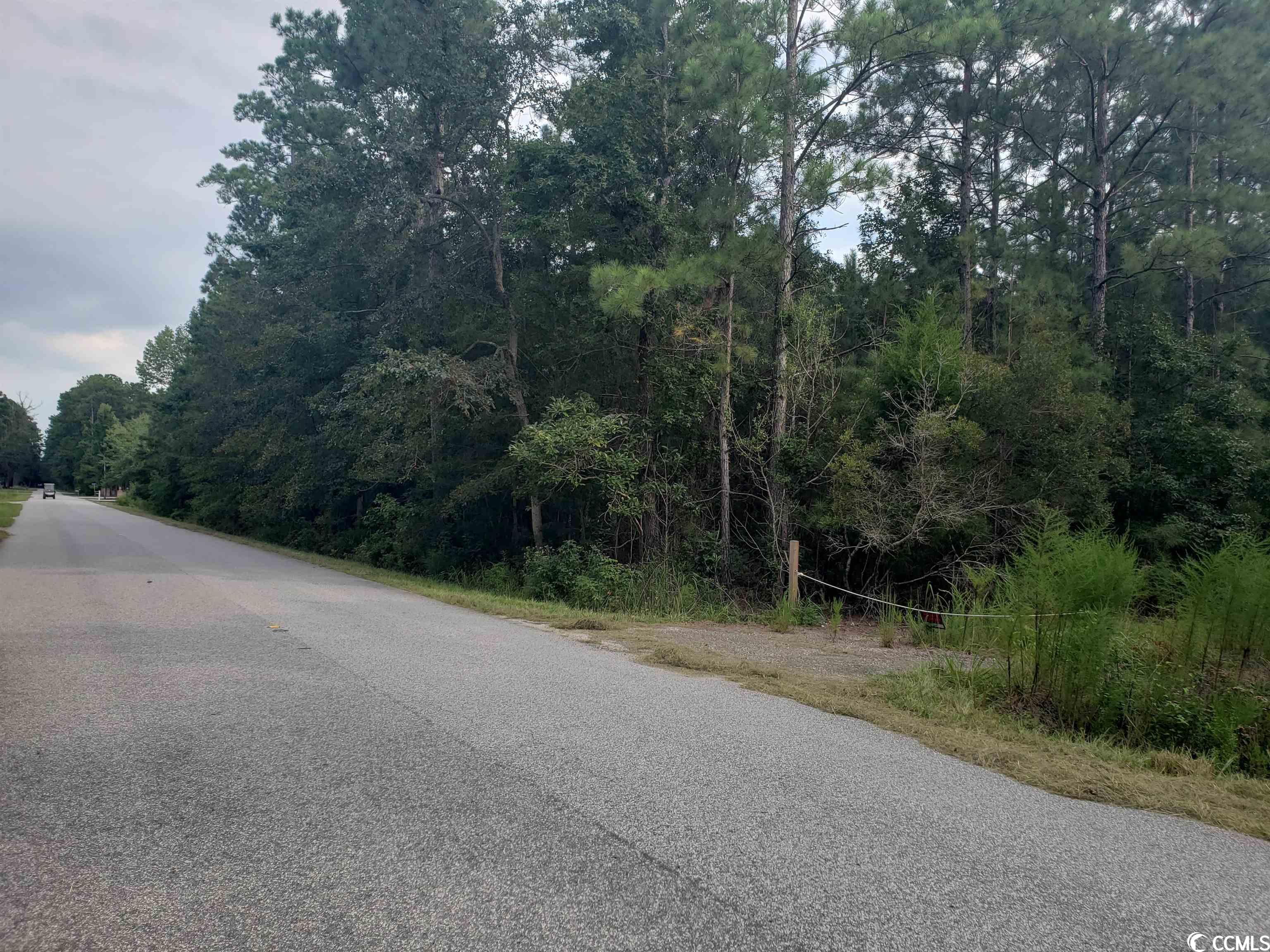 fantastic development opportunity or large acre lot parcels for those wanting acreage and privacy in the fast growing area of georgetown county. minutes from wedgefield plantation and 10 minutes to georgetown's historic district and waterfront community, the river walk. over 9 acres with public water/sewer and over 650' of frontage on windsor road.
