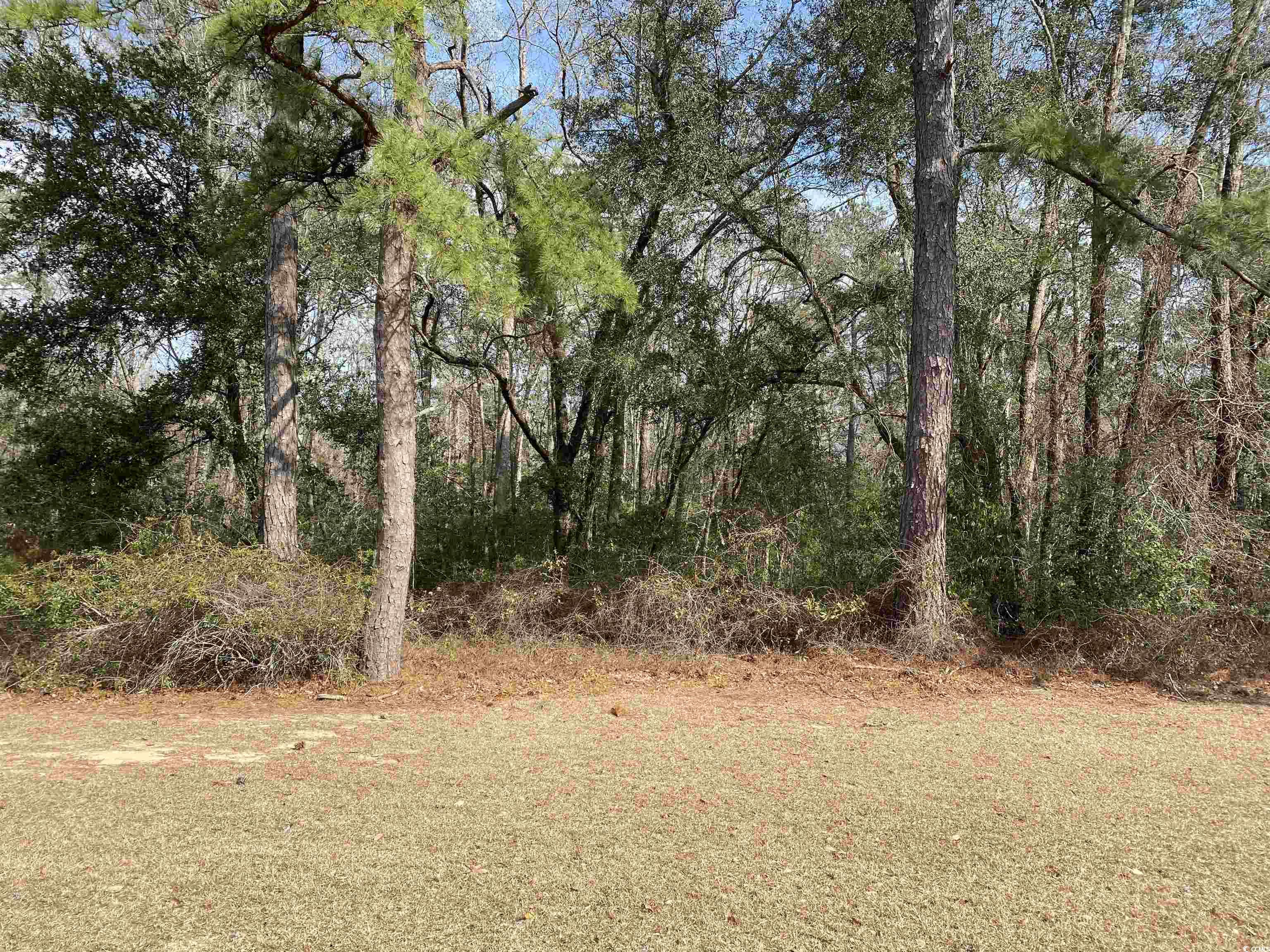 large estate size lot in beautiful heritage preserve. you can choose your own builder and build whenever you want. heritage preserve is a community off of hwy 90 and just minutes to conway, myrtle beach, hwy 31 & 22. close to shopping and dining.