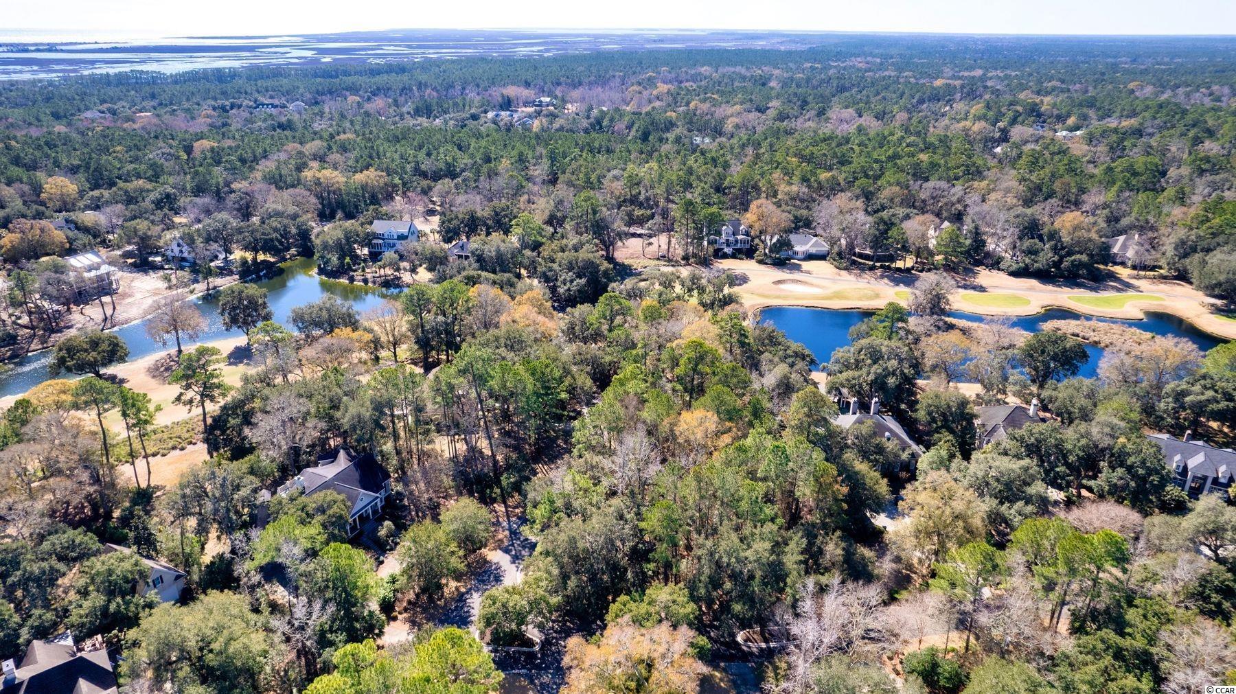 Lot 218 Cotillion Ct. Georgetown, SC 29440