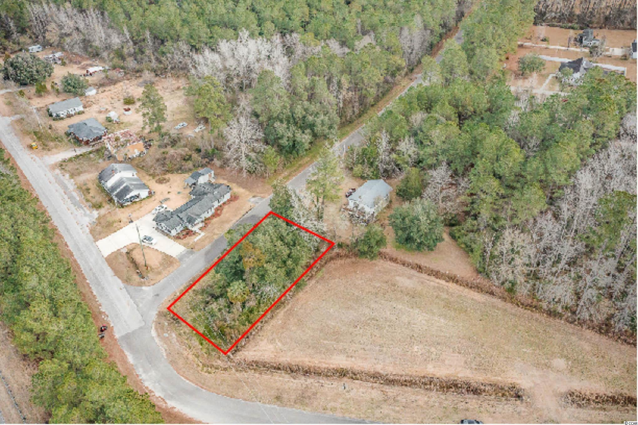 TBD Highway 701 Conway, SC 29526