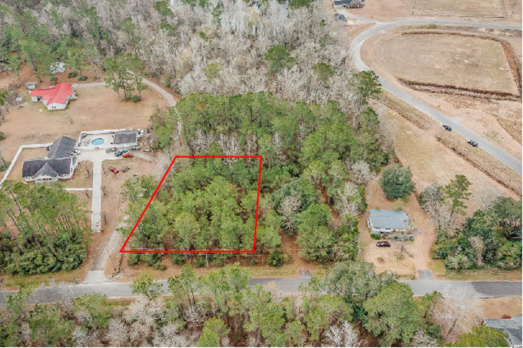 TBD Highway 701 Conway, SC 29526