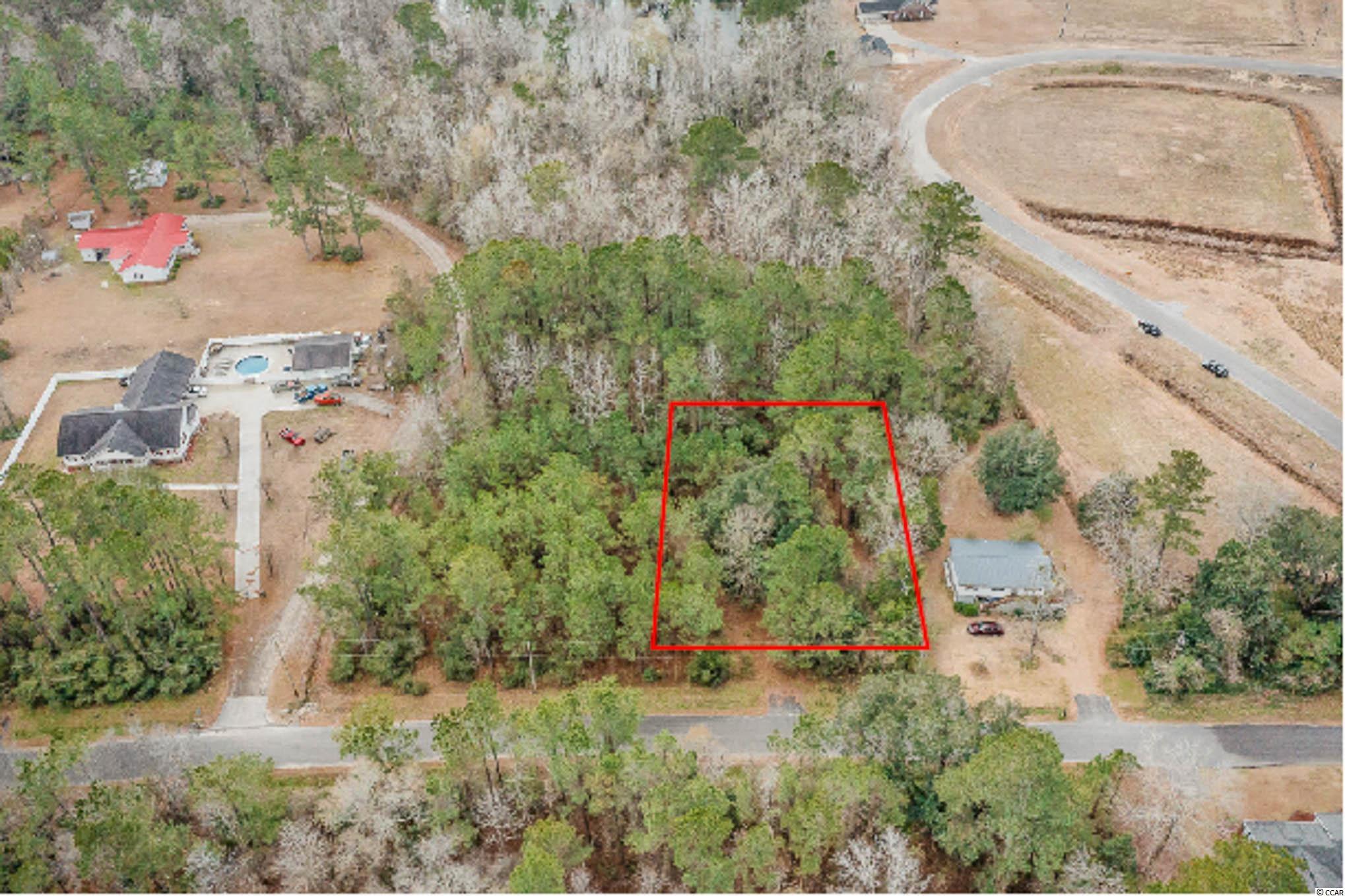 TBD Highway 701 Conway, SC 29526