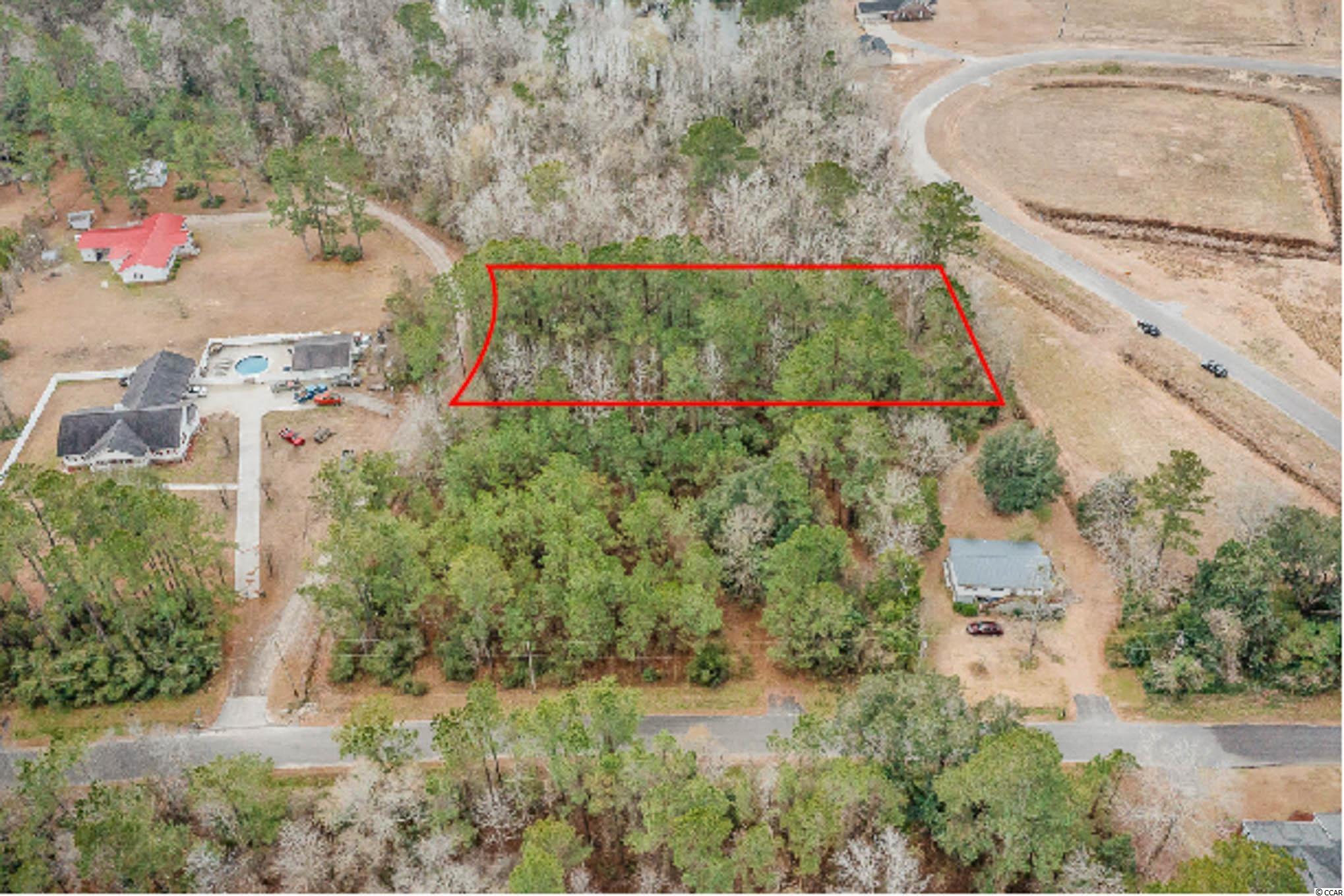 TBD Highway 701 Conway, SC 29526