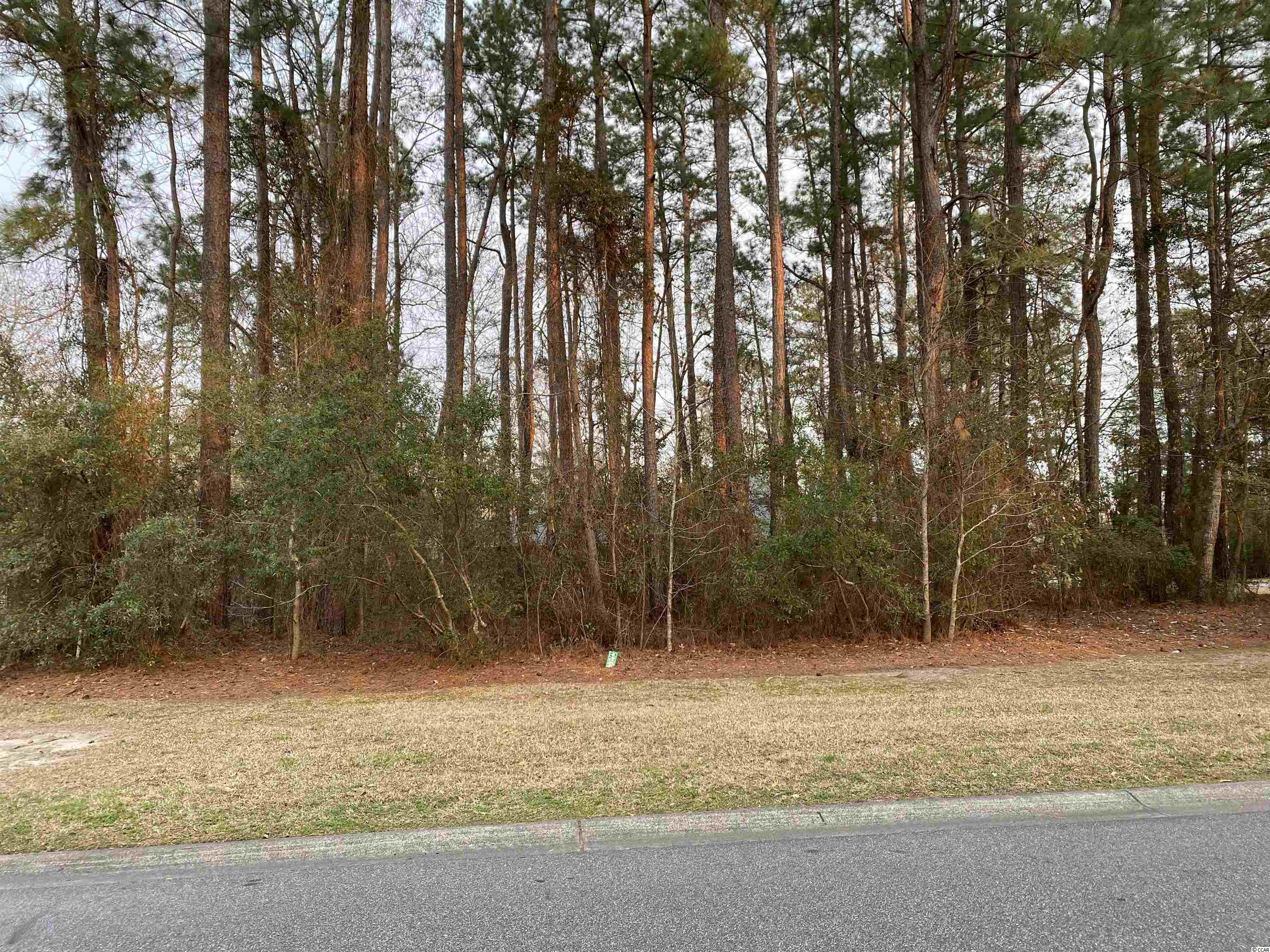 Lot 37 Fieldgate Circle Pawleys Island, SC 29585