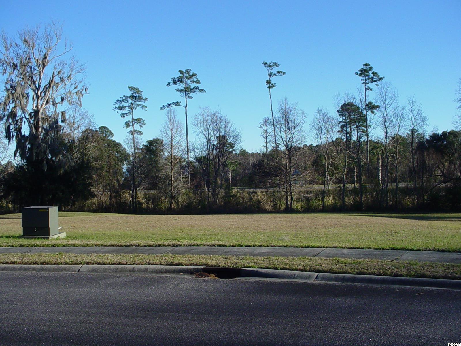 Lot #118 Oak Lawn Rd. Georgetown, SC 29440