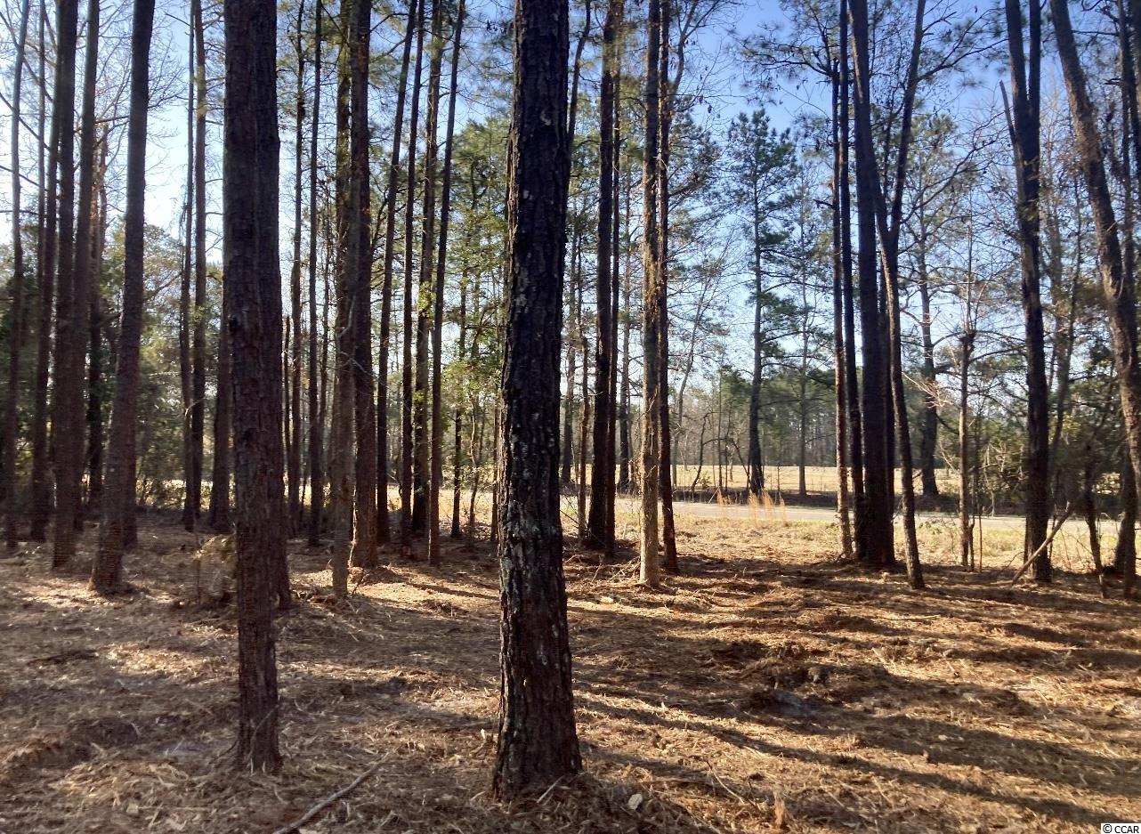 Lot 3 & Lo Valley Forge Rd. Aynor, SC 29511