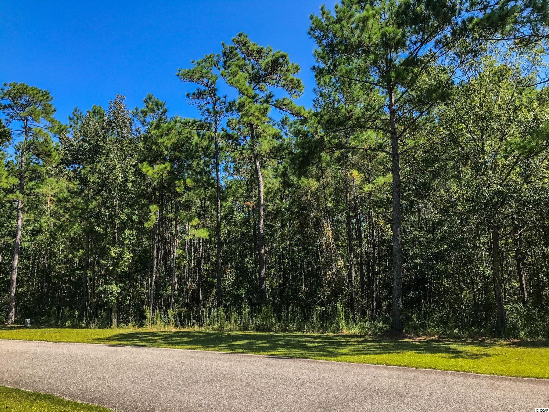 Lot 137 Canvasback Ln. Pawleys Island, SC 29585