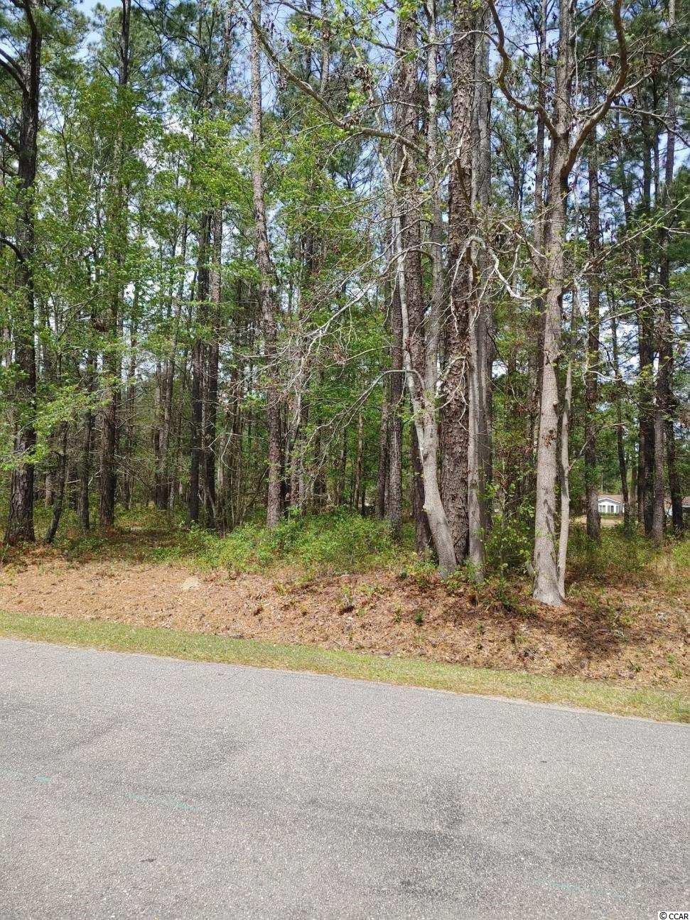 Lot 388 Francis Parker Rd. Georgetown, SC 29440