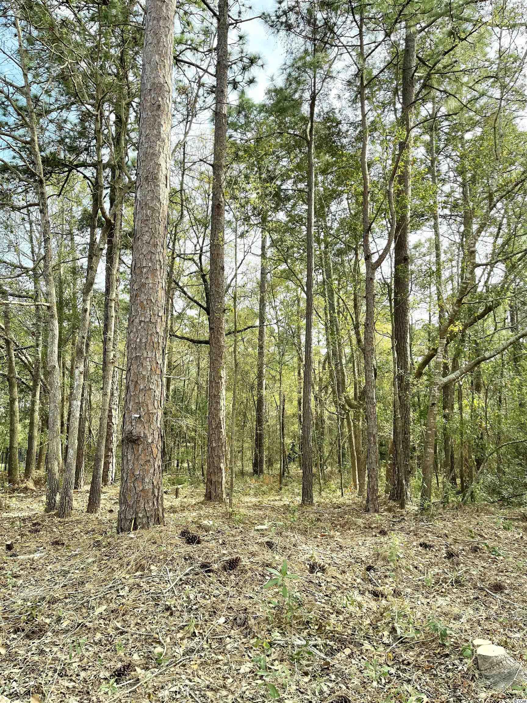 Lot 66 Preservation Circle Pawleys Island, SC 29585