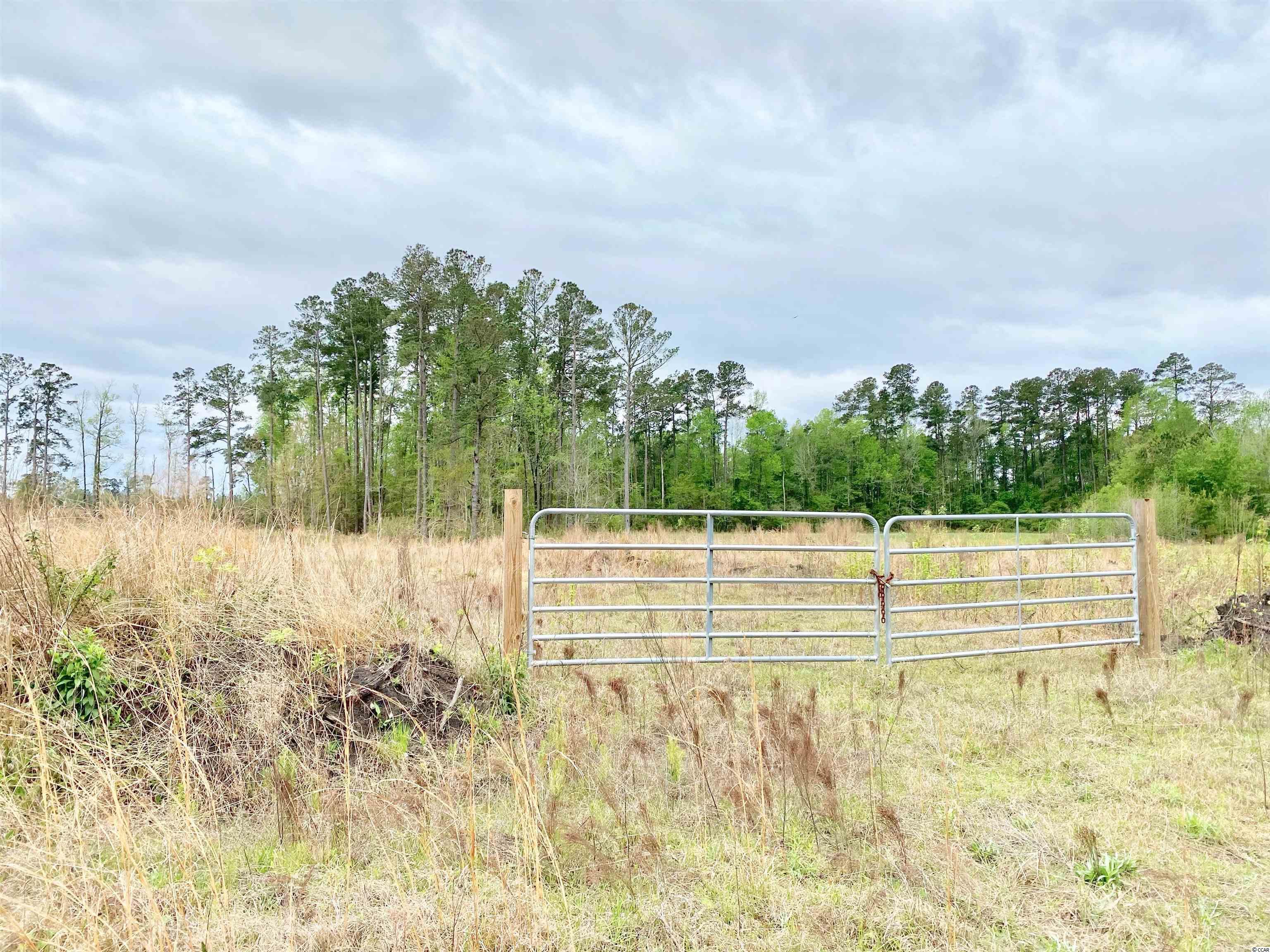 TBD Barnhill Rd. Galivants Ferry, SC 29544