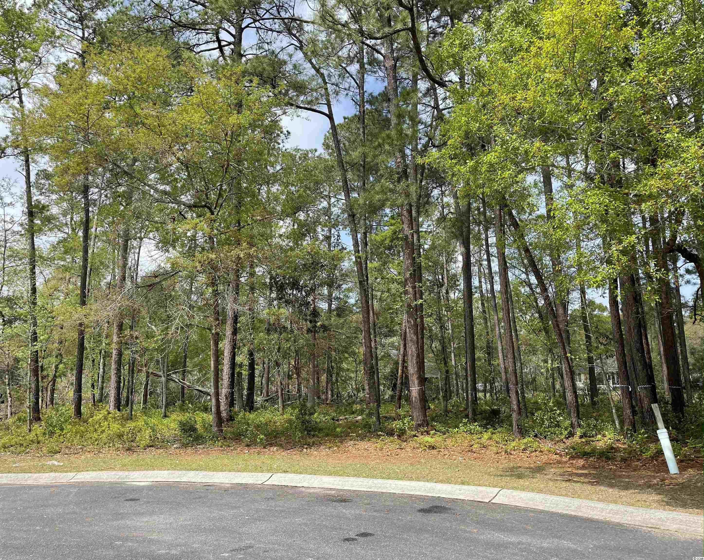 108 Sweet Grass Ln. Georgetown, SC 29440