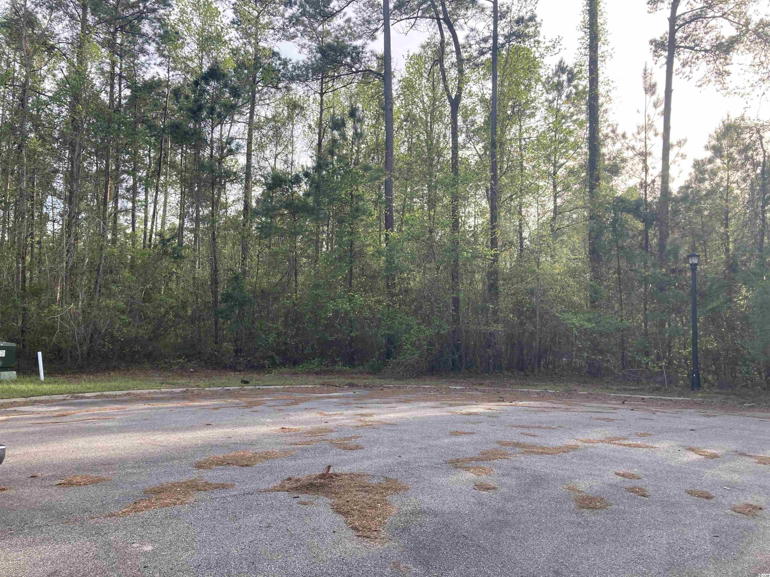 Lot 30 Black Harbor Dr. Conway, SC 29526