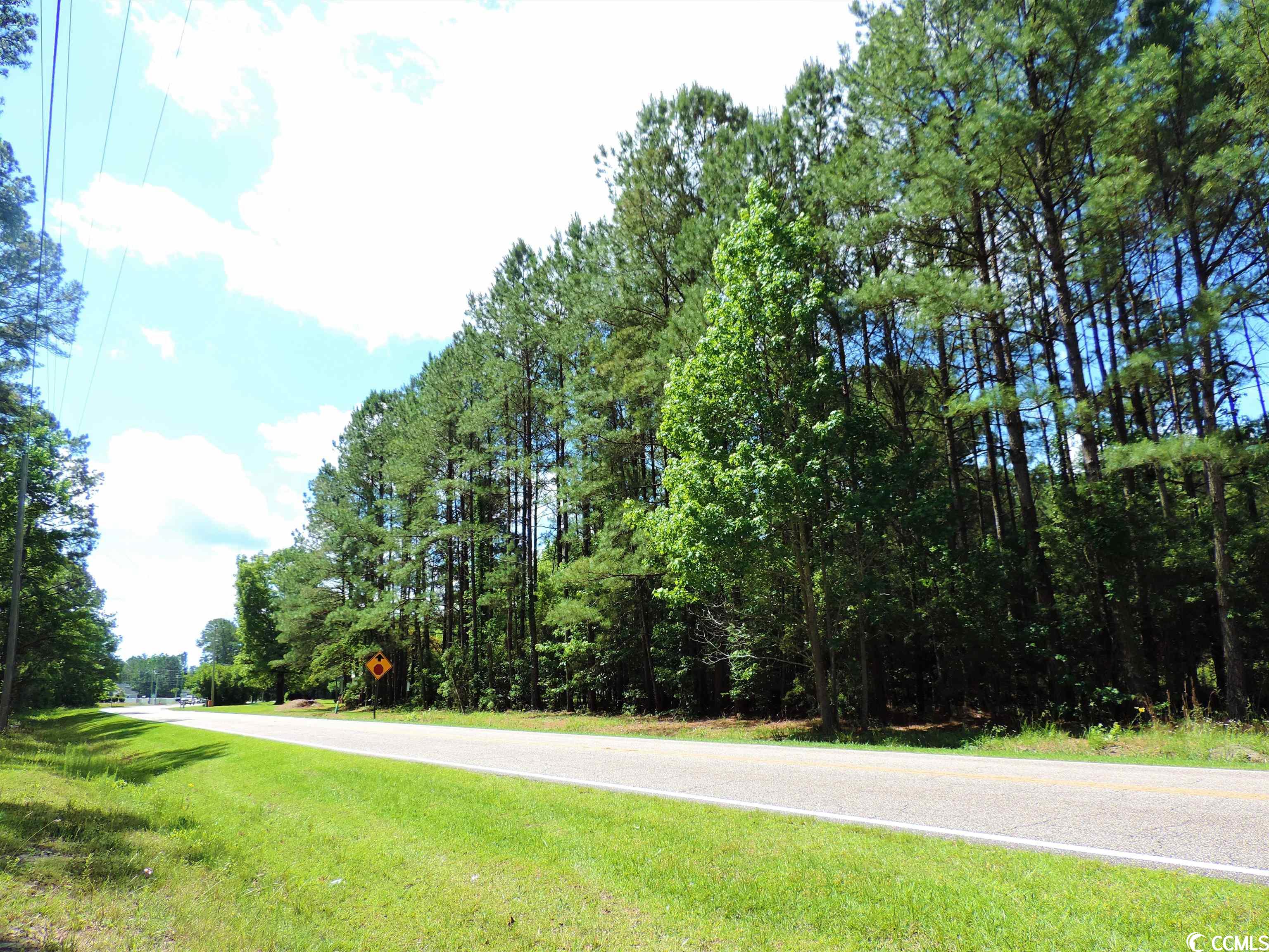 TBA Old Buck Creek Rd. Longs, SC 29568