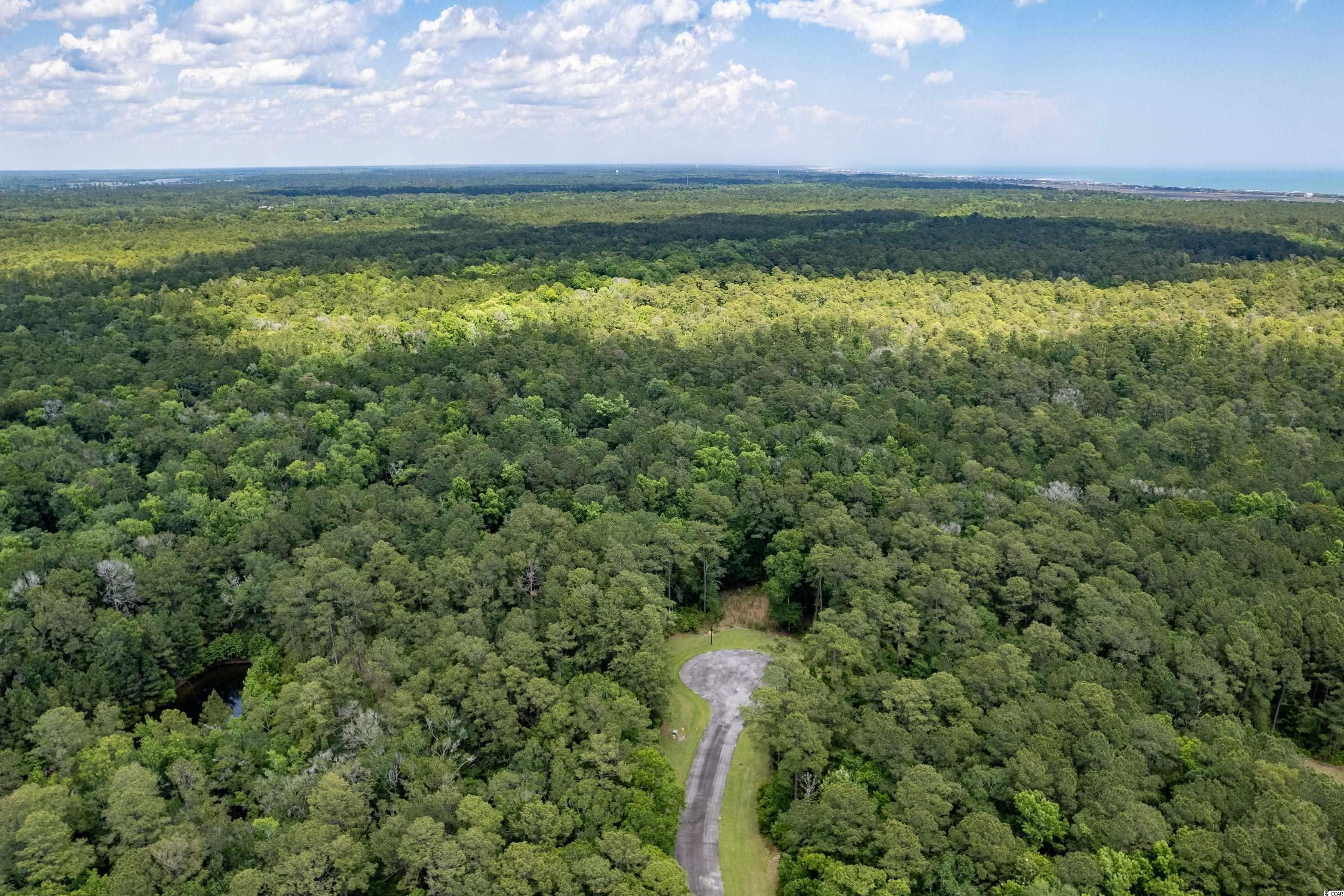 Lot 138 Canvasback Ln. Pawleys Island, SC 29585