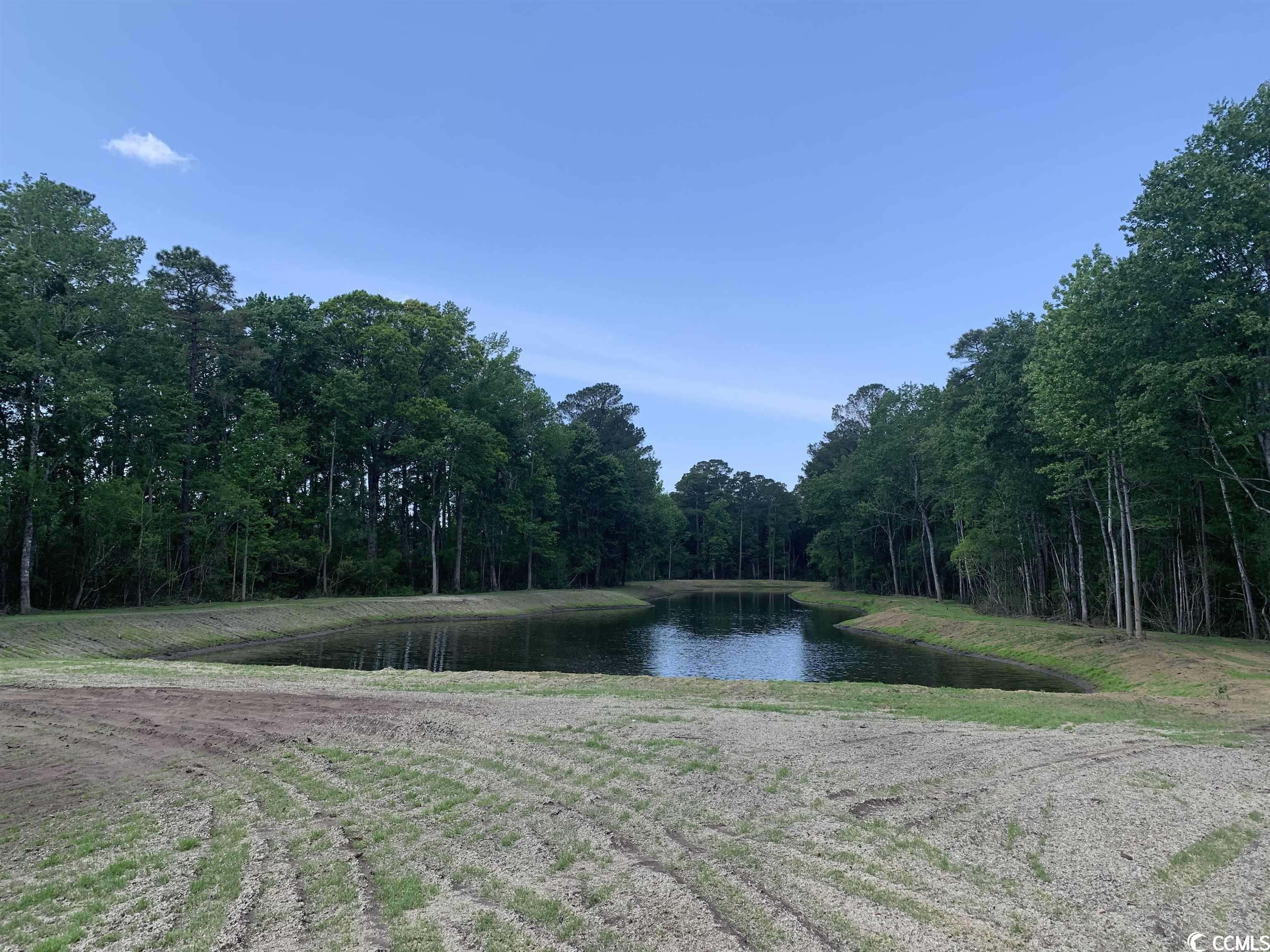 3139 Moss Bridge Ln. Myrtle Beach, SC 29579