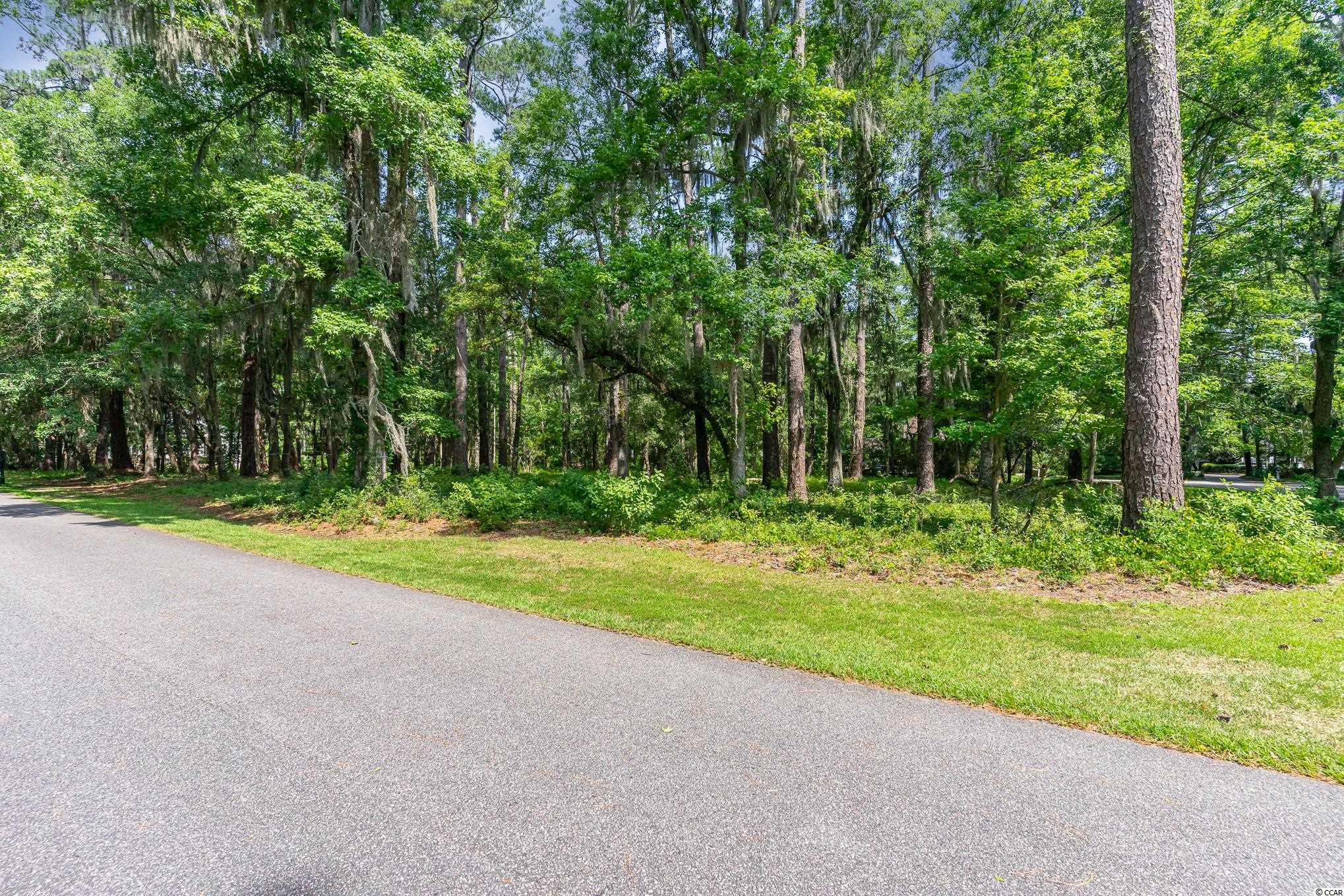 Lot 10 All Saints Loop Pawleys Island, SC 29585