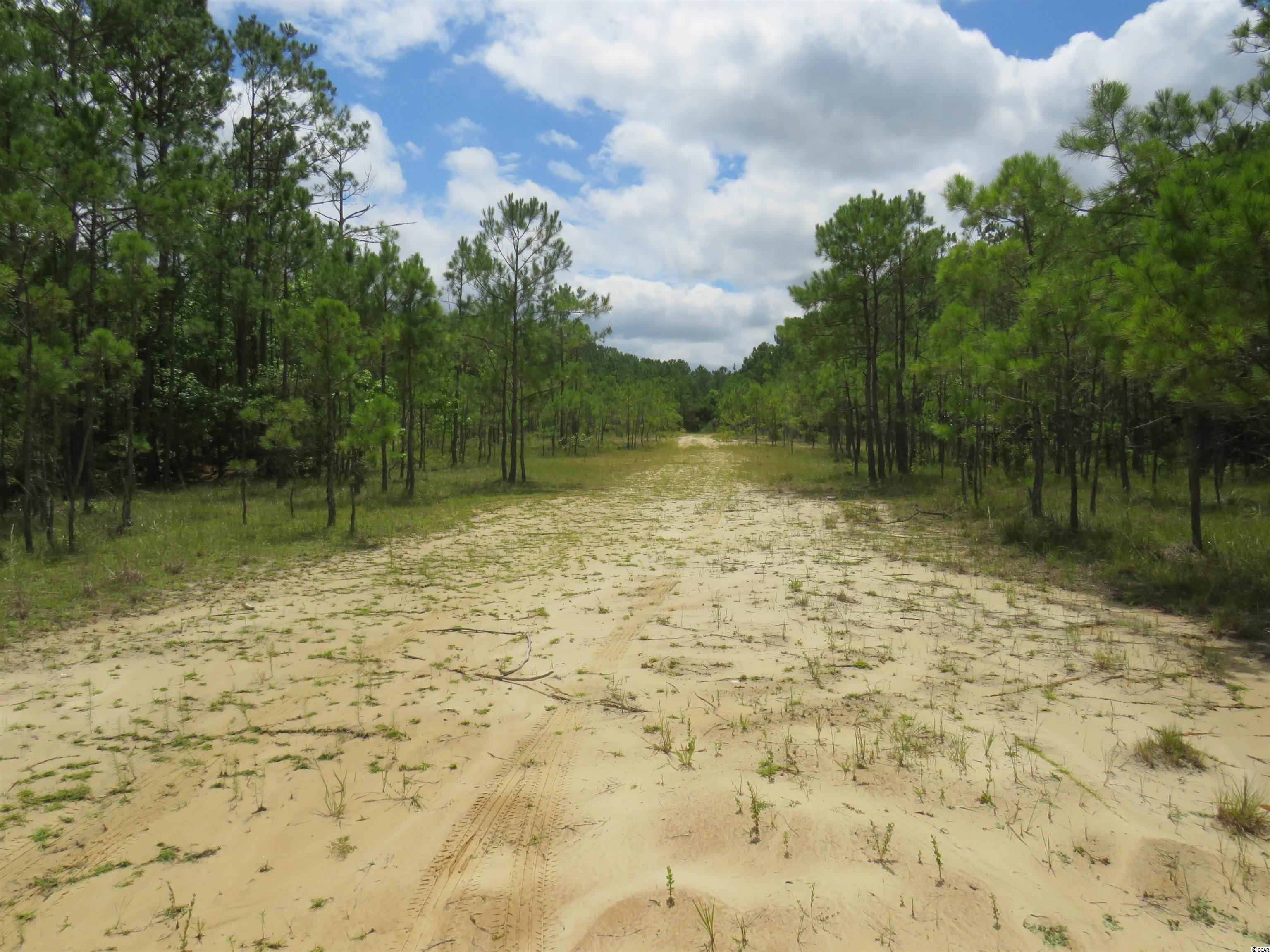 T.B.D. Eva Rd., Little River, SC 29566