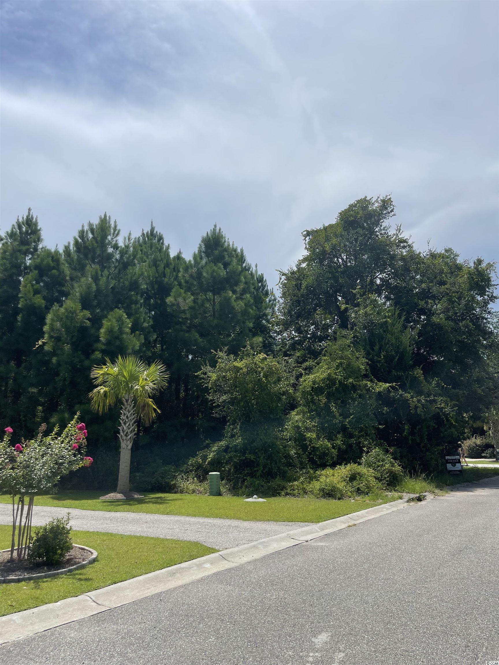 79 Seagrass Ct. Pawleys Island, SC 29585