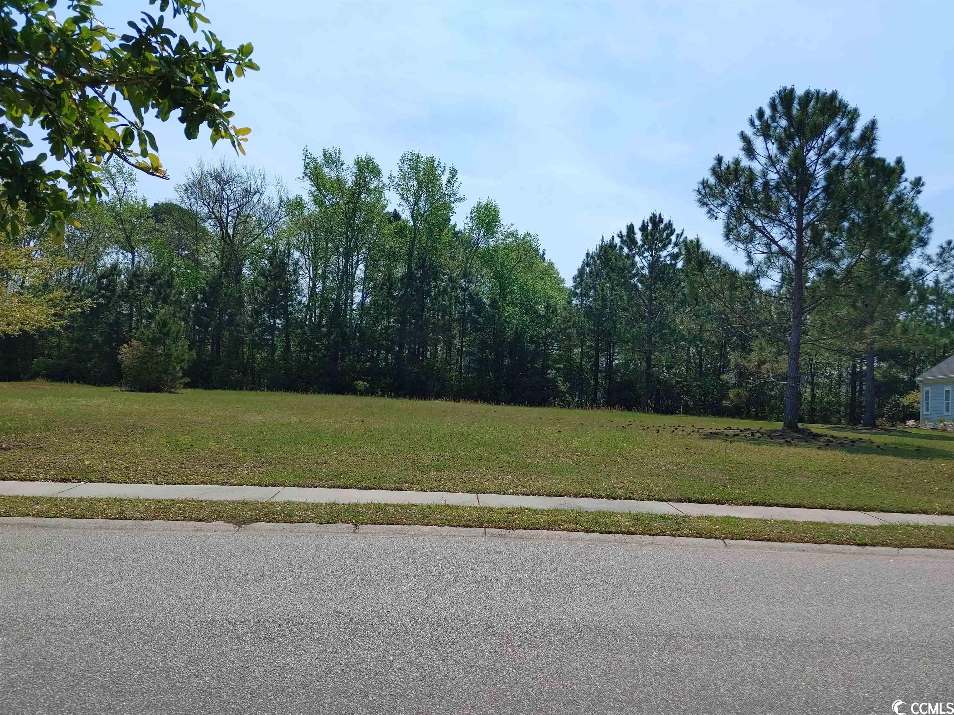 1045 Wigeon Dr. Conway, SC 29526