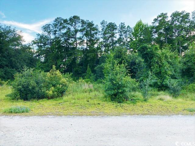 Lot 1 Ivanhoe Pl., Dillon, SC 29536