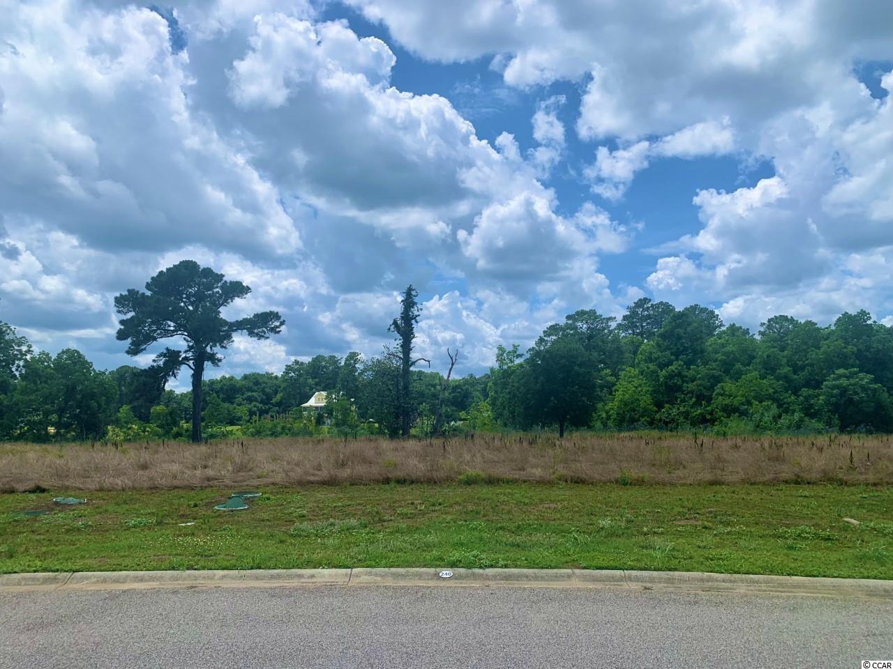 Lot 240 Craven St. Georgetown, SC 29440