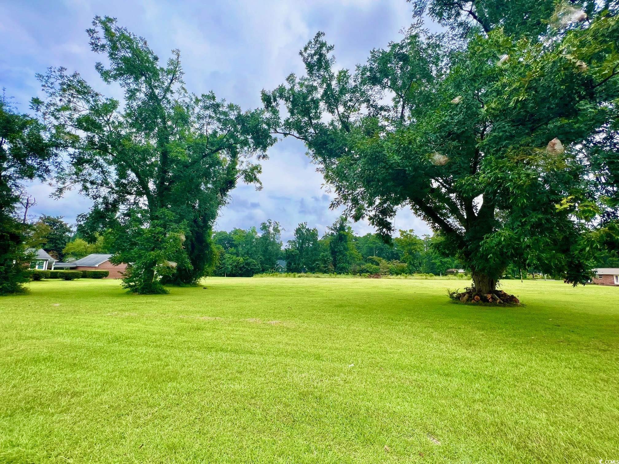 Lot 1 & 2 Main St. Loris, SC 29569