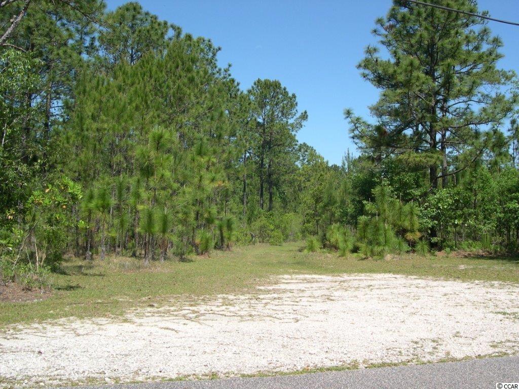 Lot 1024 Kilsock Dr. Georgetown, SC 29440