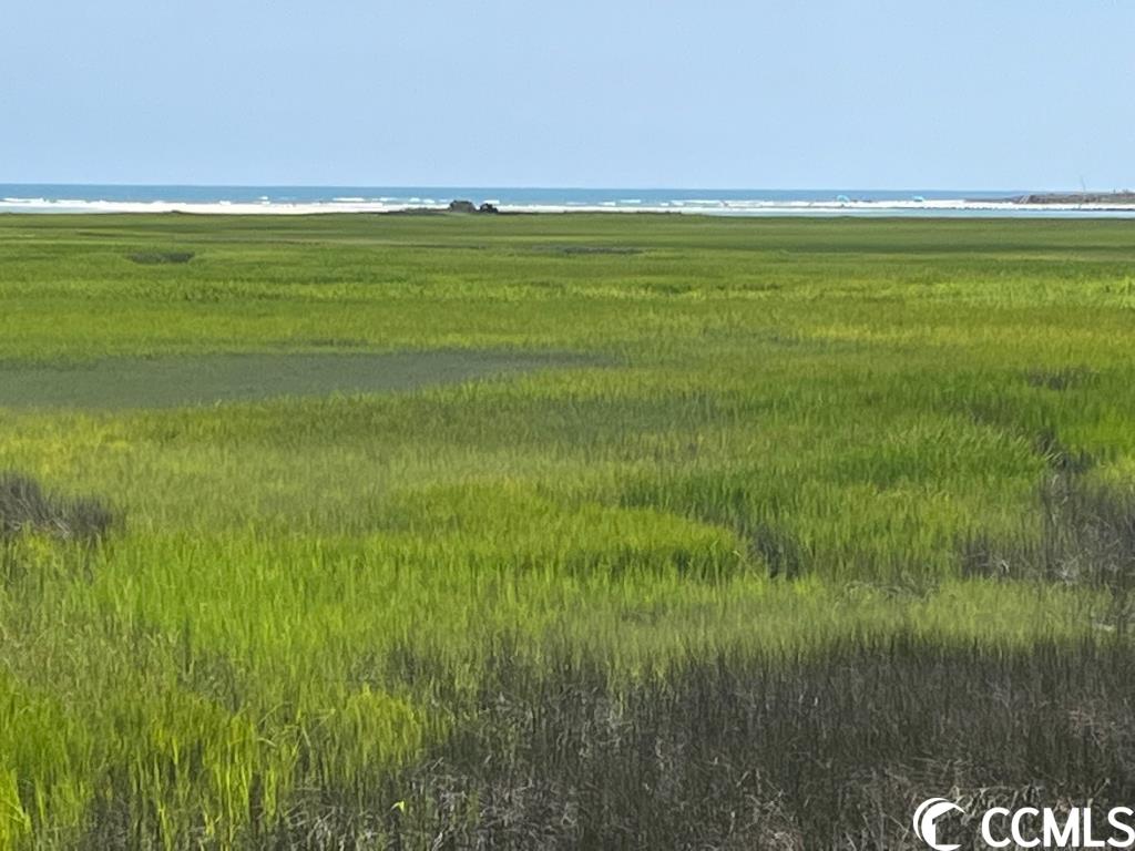 Pawleys Island Martin