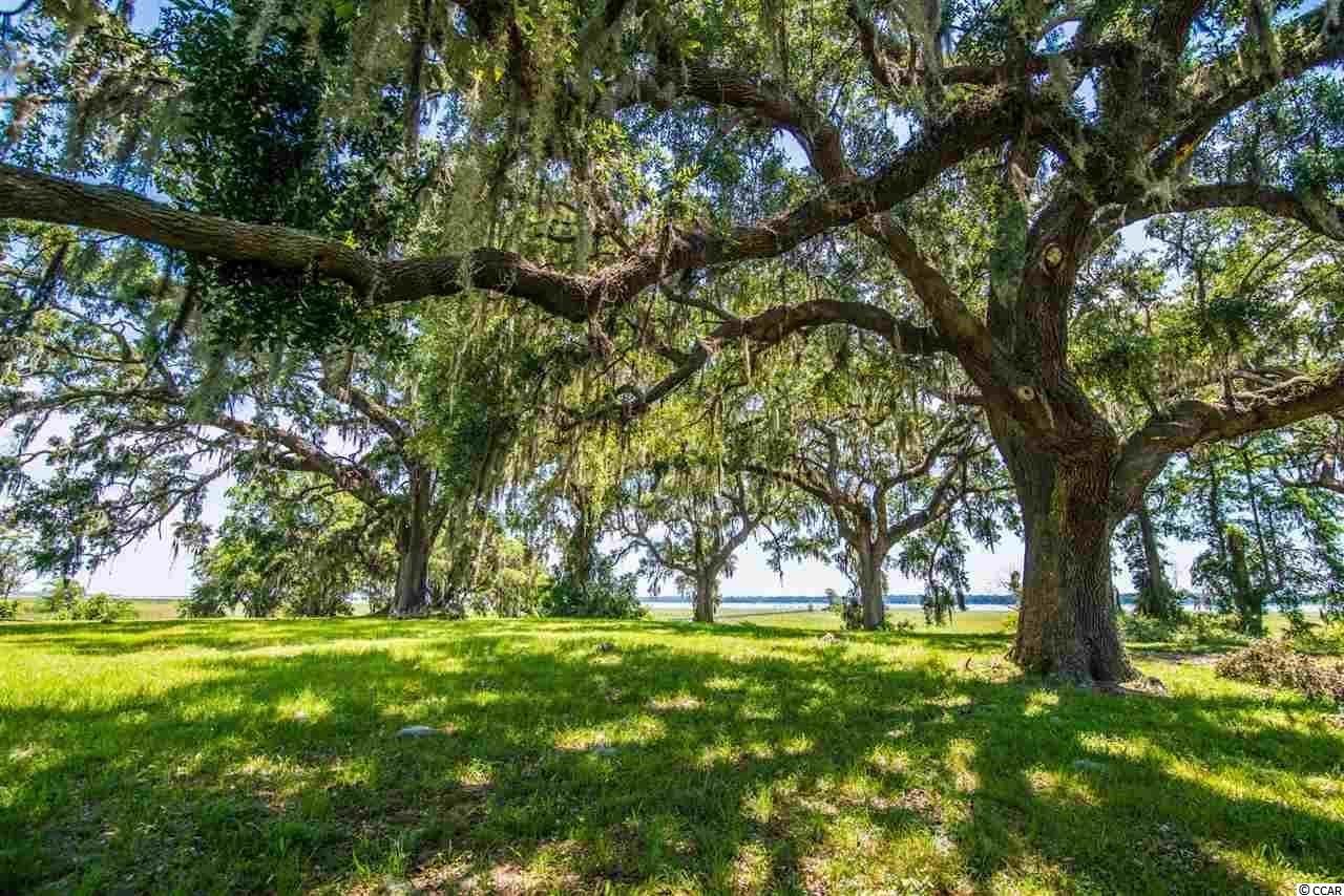 182 Commanders Island Rd. Georgetown, SC 29440