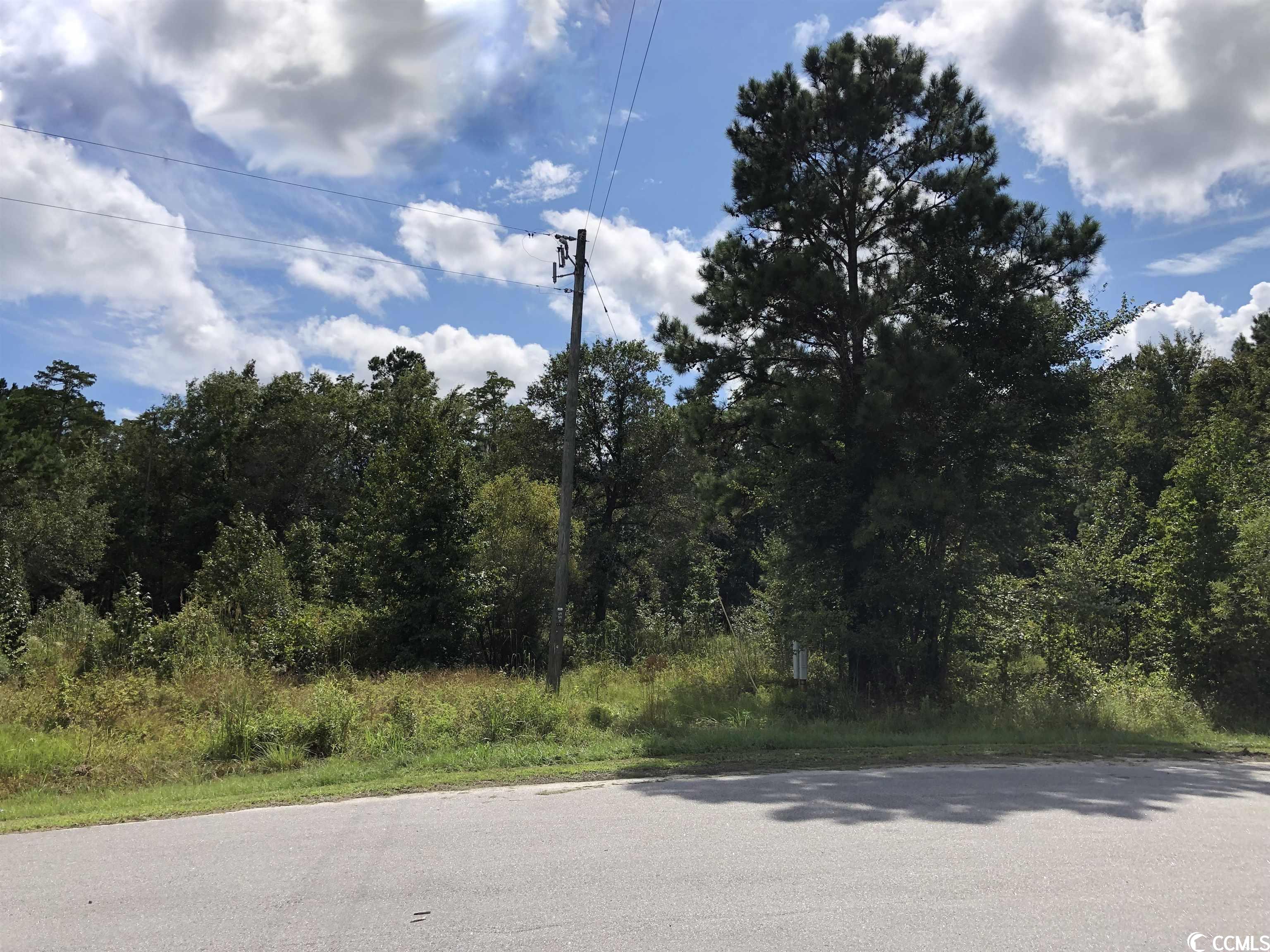 build your perfect home or put your mobile home on this 1 acre lot in conway.  it is in a flood zone but has public water and would have to be approved for an engineered septic system.  the estimated cost for this system is 8500.00 and would be done by an engineering company. buyers responsibility to verify this cost.  this neighborhood is very quiet and the beach is only 15 minutes or so away.  if you like the river a county maintained boat landing is only about 1/2 mile away.  please see personal interest disclosure in documents.