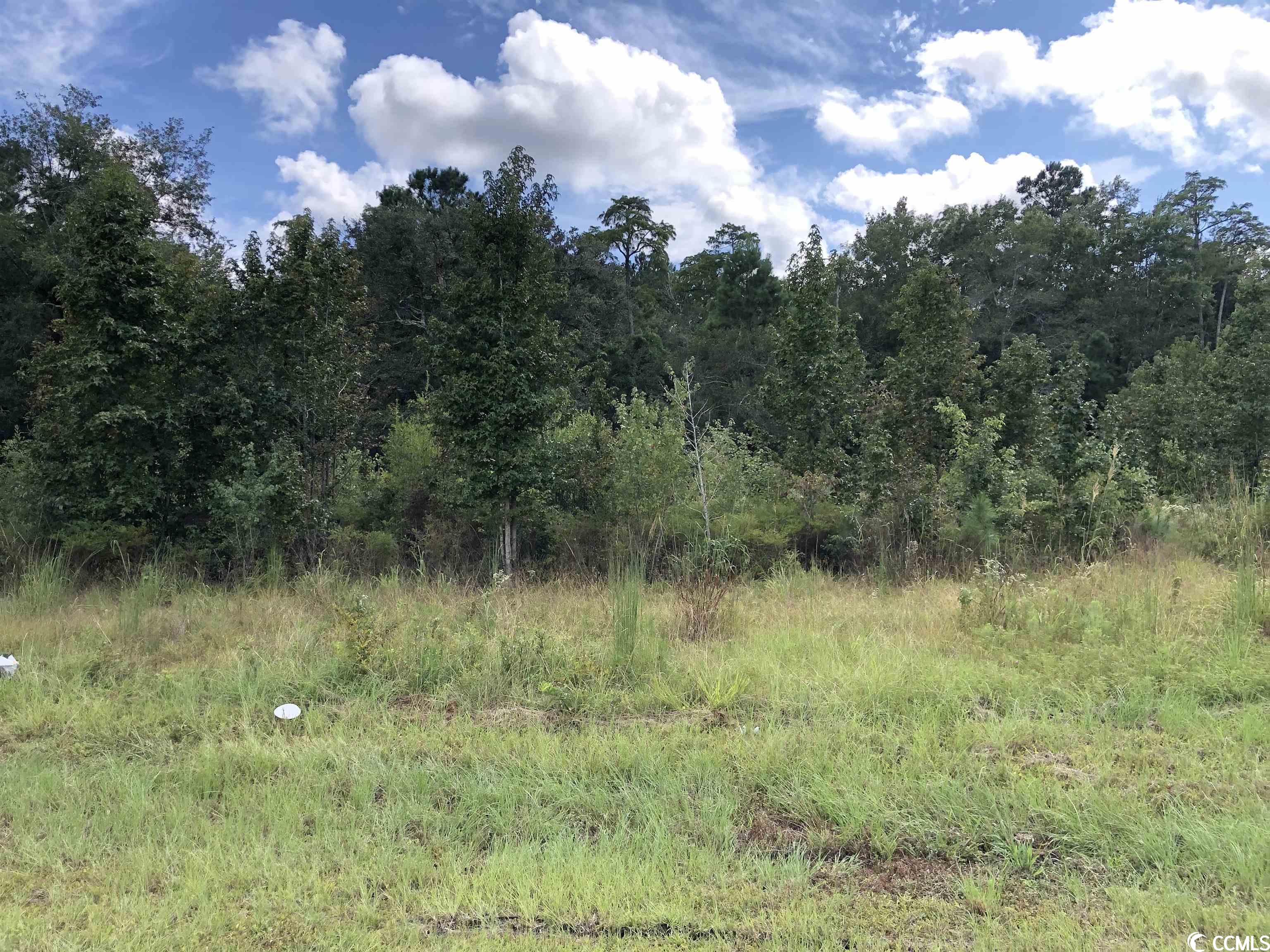 build your perfect home or put your mobile home on this 1+ acre lot in conway.  it is in a flood zone but has public water and would require an engineered septic system.  this would cost approximately 8500.00 and would be done by an engineering company.  it is buyers responsibility to verify thes cost. this neighborhood is very quiet and the beach is only 15 minutes or so away.  if you like the river a county maintained boat landing is only about 1/2 mile away.