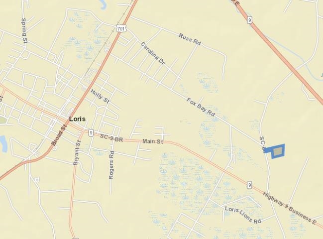 Tract A,Hw S Fox Bay Rd. Loris, SC 29569