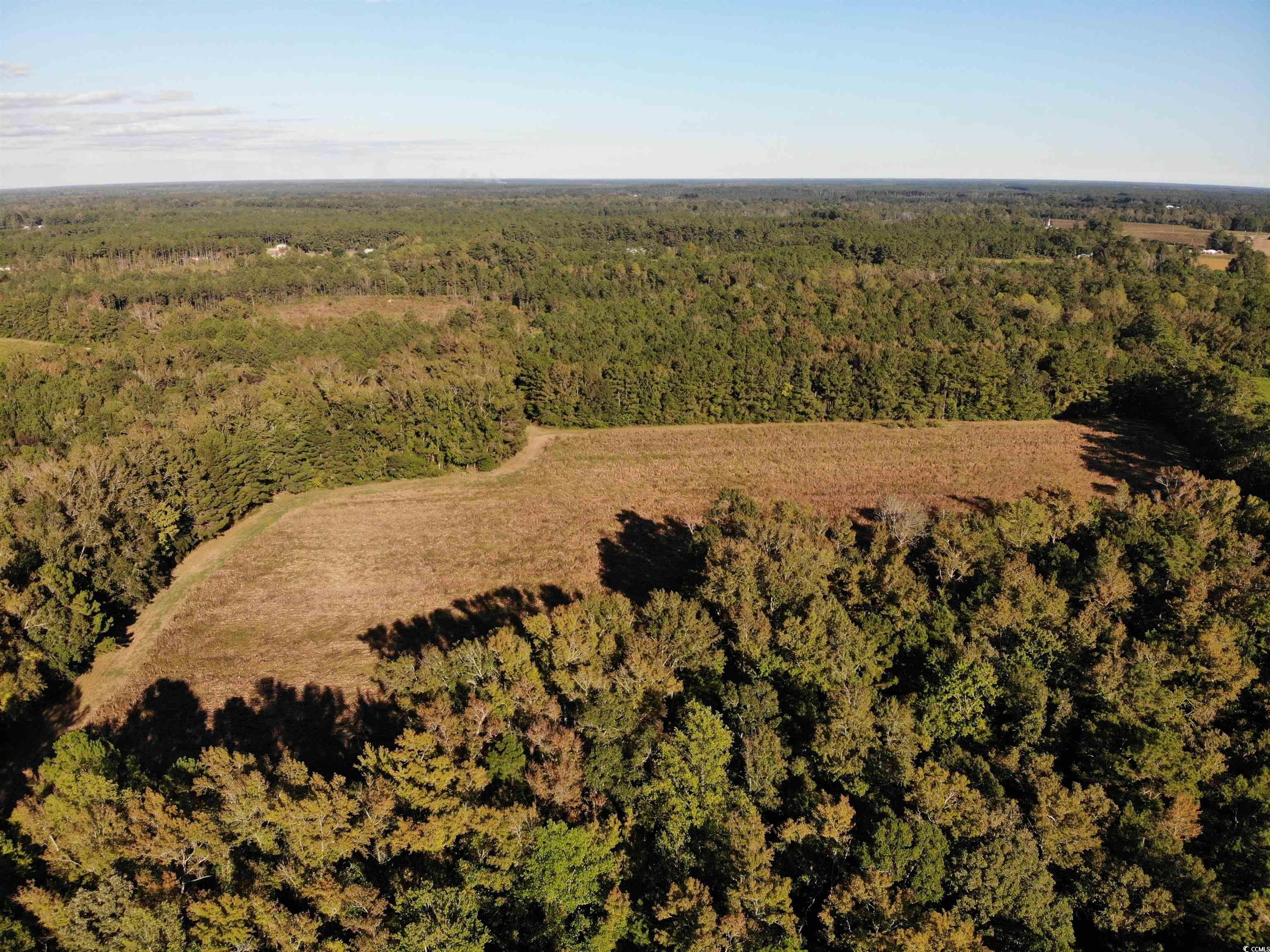 TBD Fries Bay Rd., Loris, SC 29569