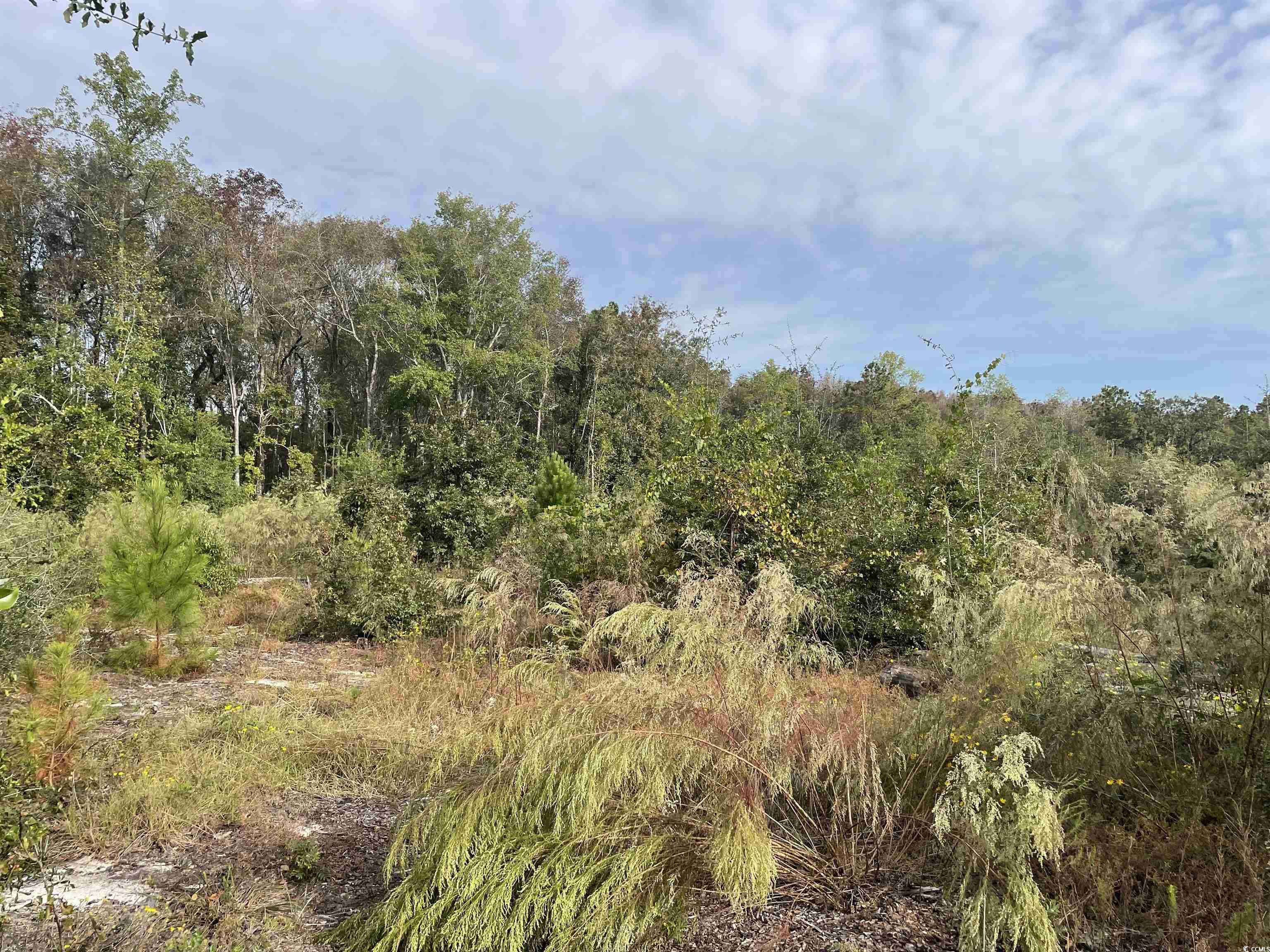 located just minutes from downtown historic georgetown, this 9.9 acres on whitehall ave. has many possibilities.  it is only 1/2 mile from the belle isle marina and yacht club, that includes access to winyah bay and the intracoastal waterway. additional acreage is available.