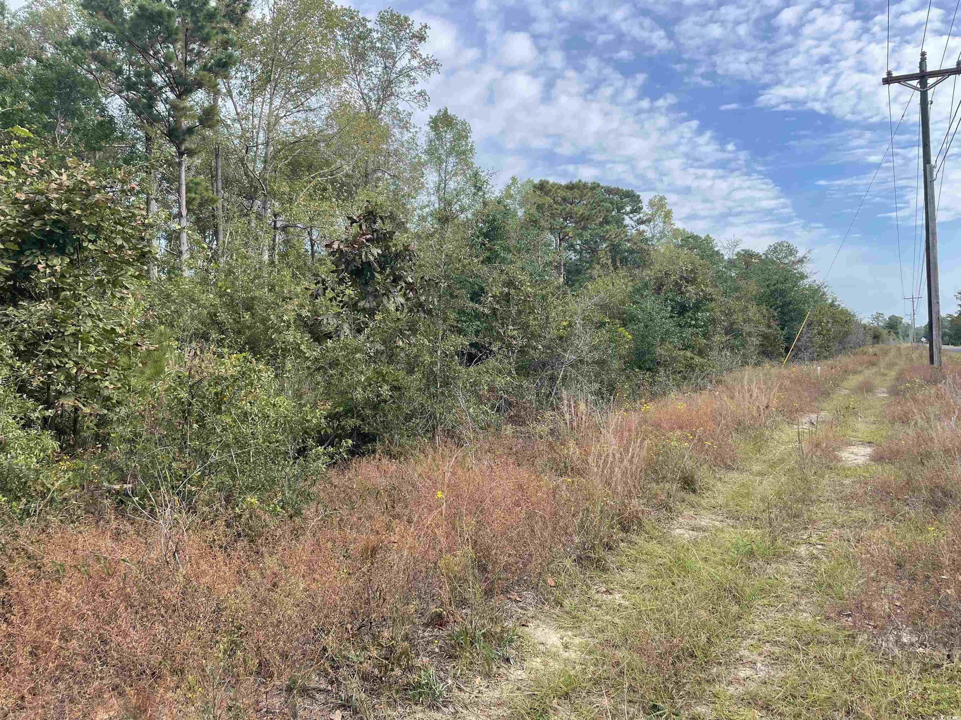 located just minutes from downtown historic georgetown, this 13.6 acres on whitehall ave. has many possibilities.  it is only 1/2 mile from the belle isle marina and yacht club, that includes access to winyah bay and the intracoastal waterway. additional acreage is available.