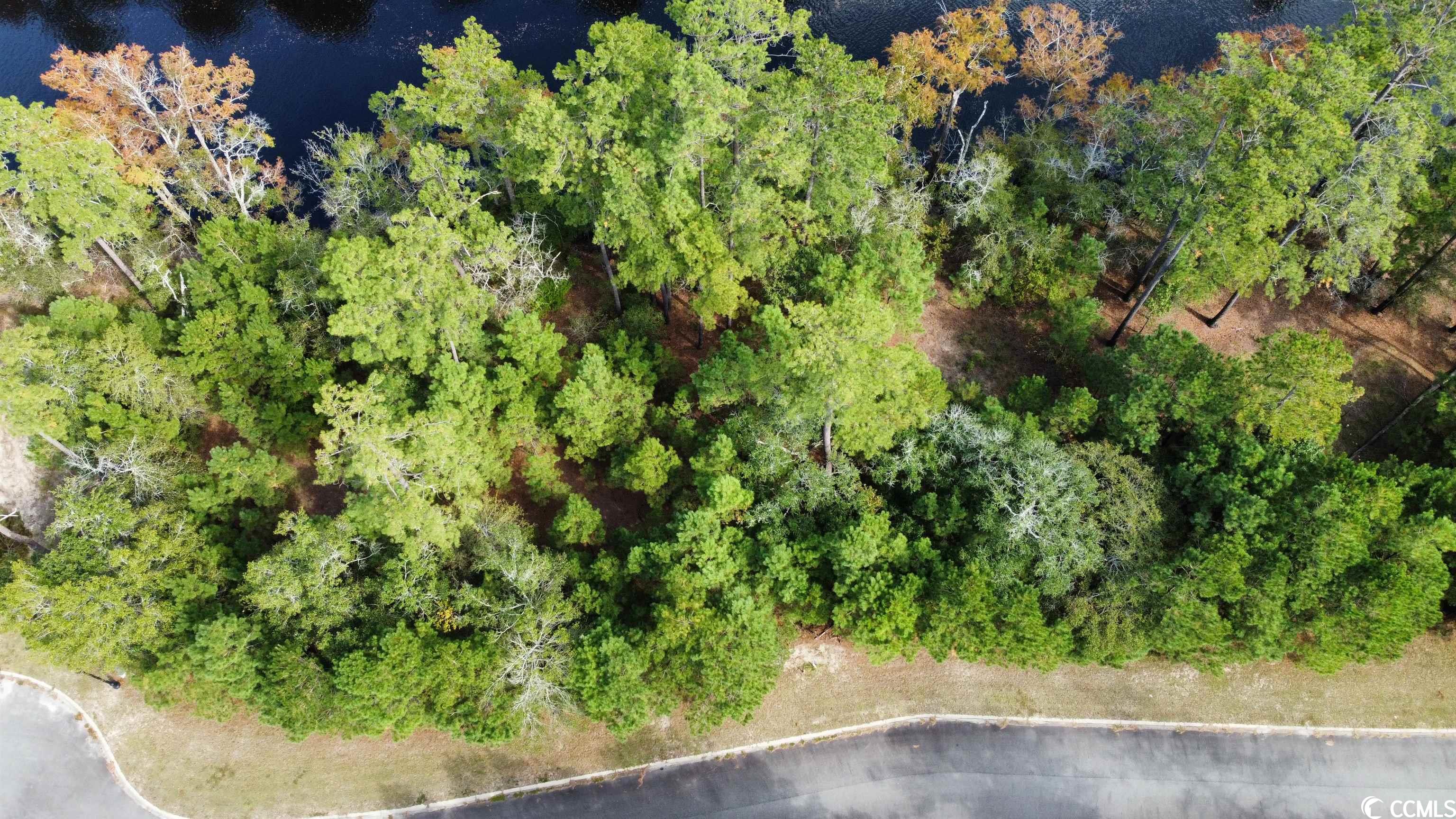 Black Water Cove in Conway Land 95,000 MLS 2223074 Conway Land