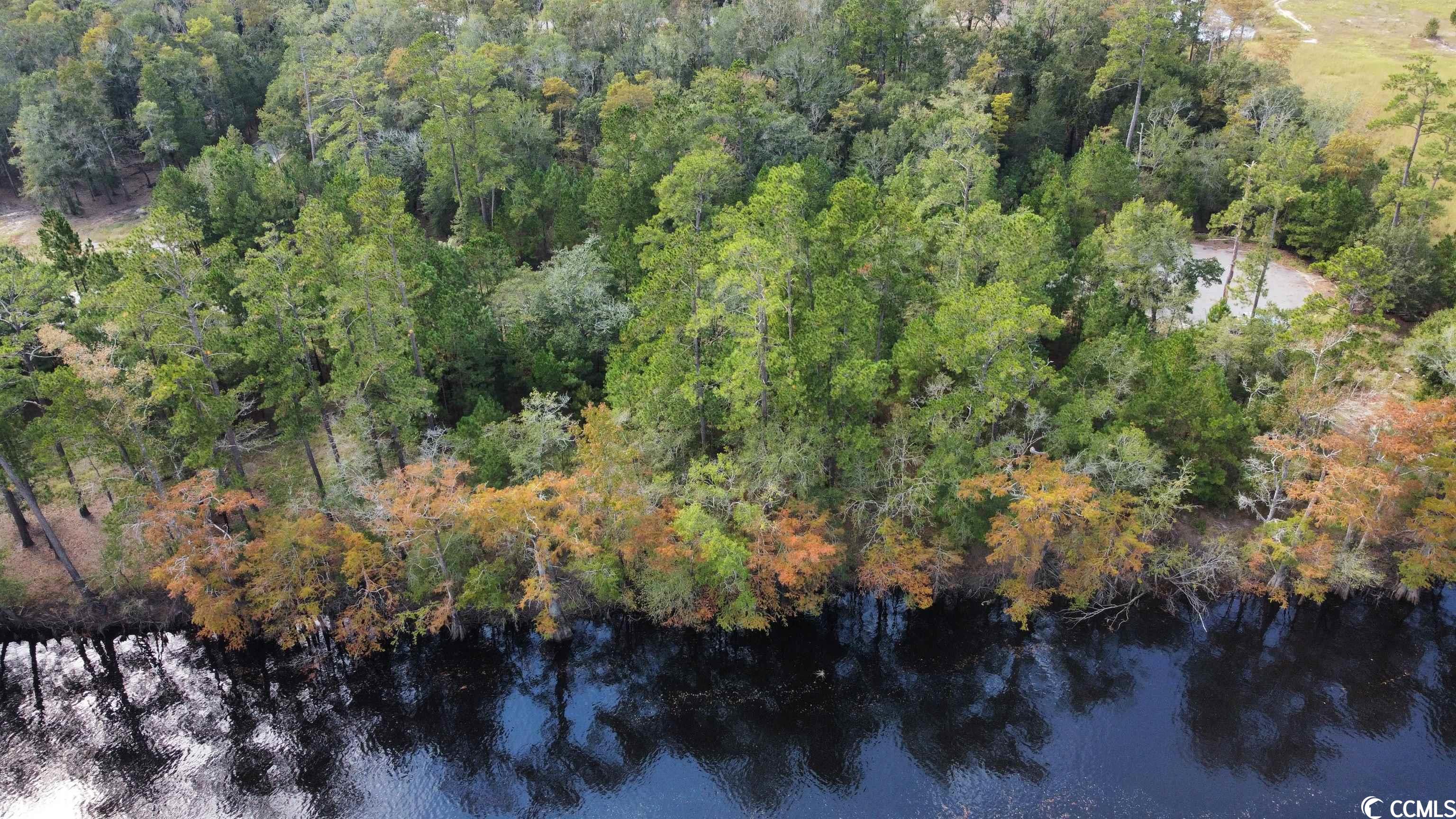 Black Water Cove in Conway Land 95,000 MLS 2223074 Conway Land