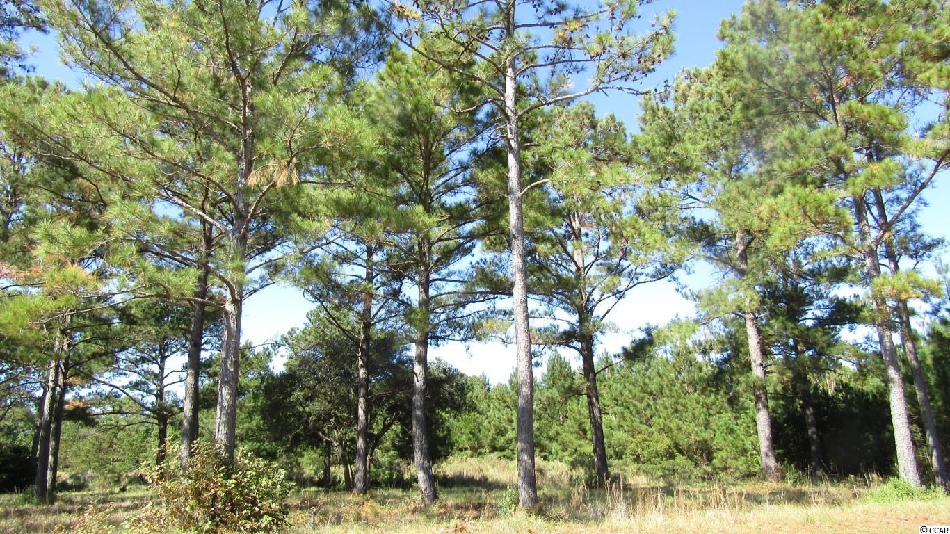 7496 Haddington Pl. Sunset Beach, NC 28468